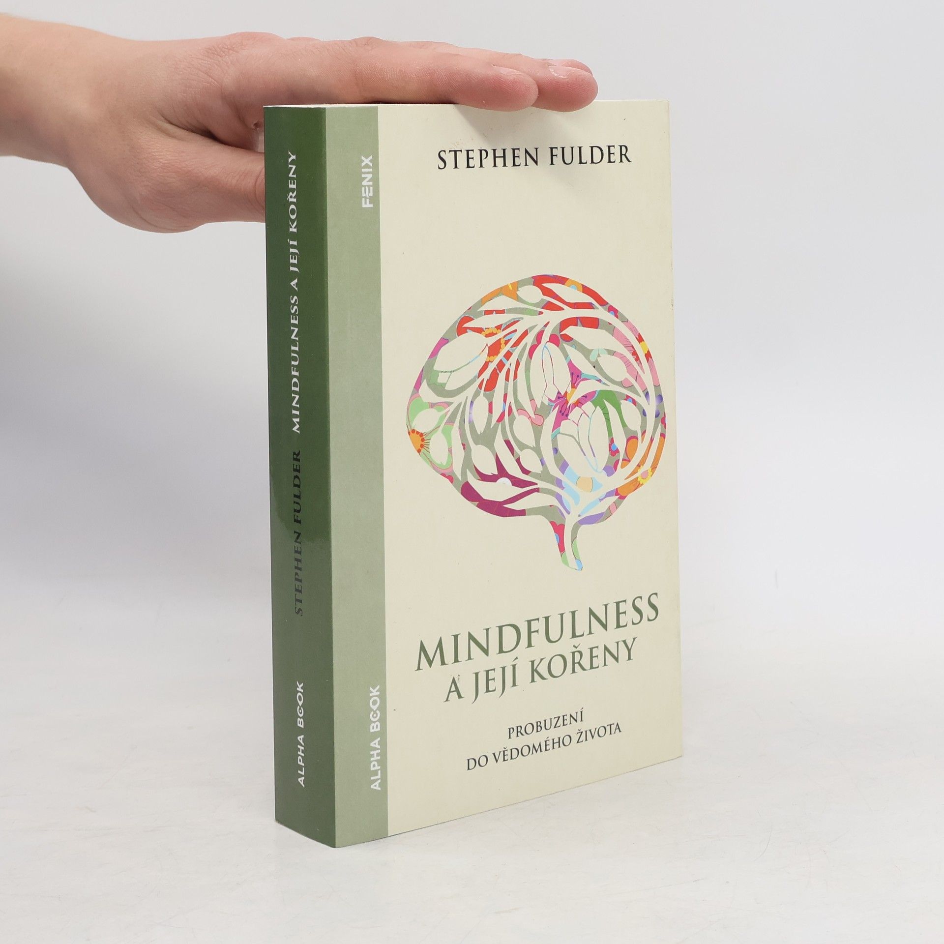 Stephen Fulder Mindfulness a její kořeny : probuzení do vědomého života
