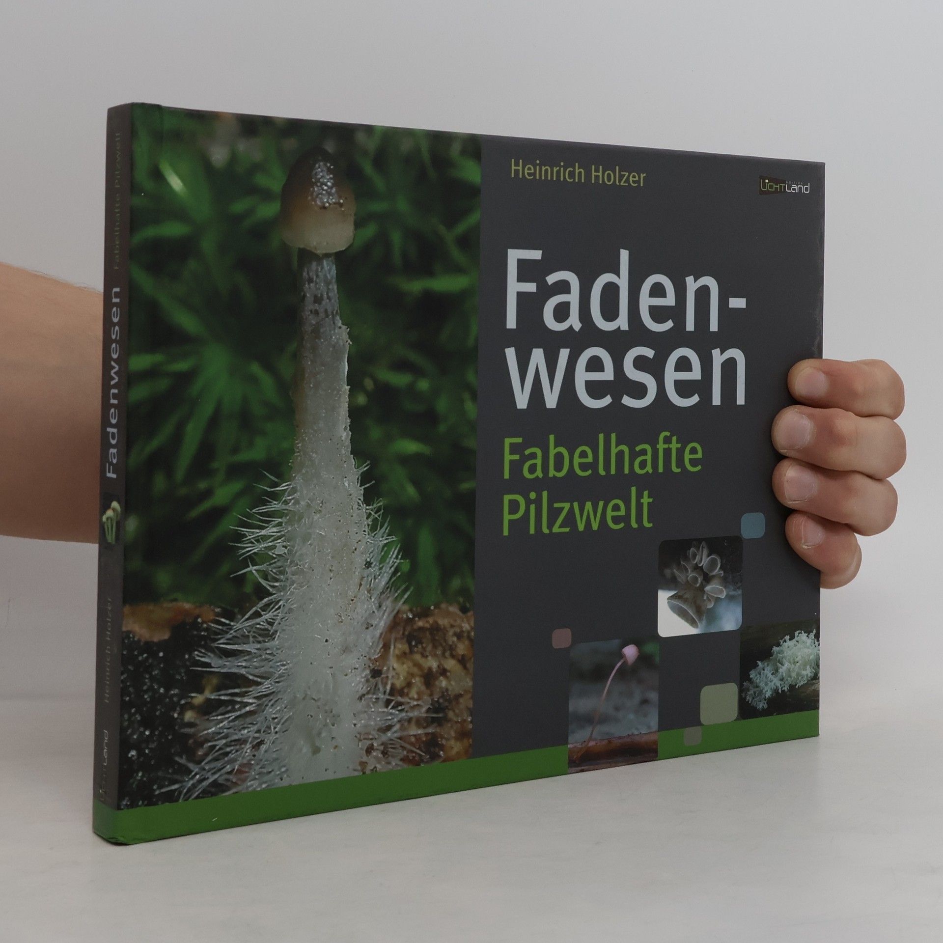 Heinrich Holzer Fadenwesen
