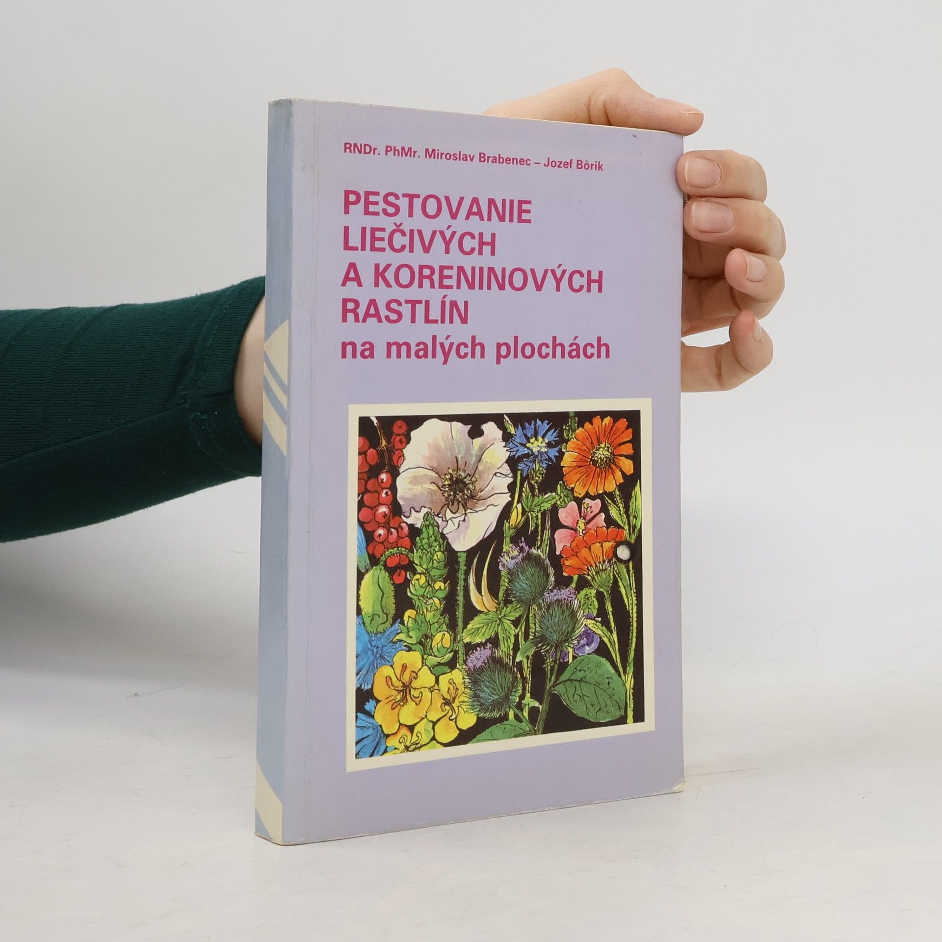 Pestovanie liečivých a koreninových rastlín na malých plochách