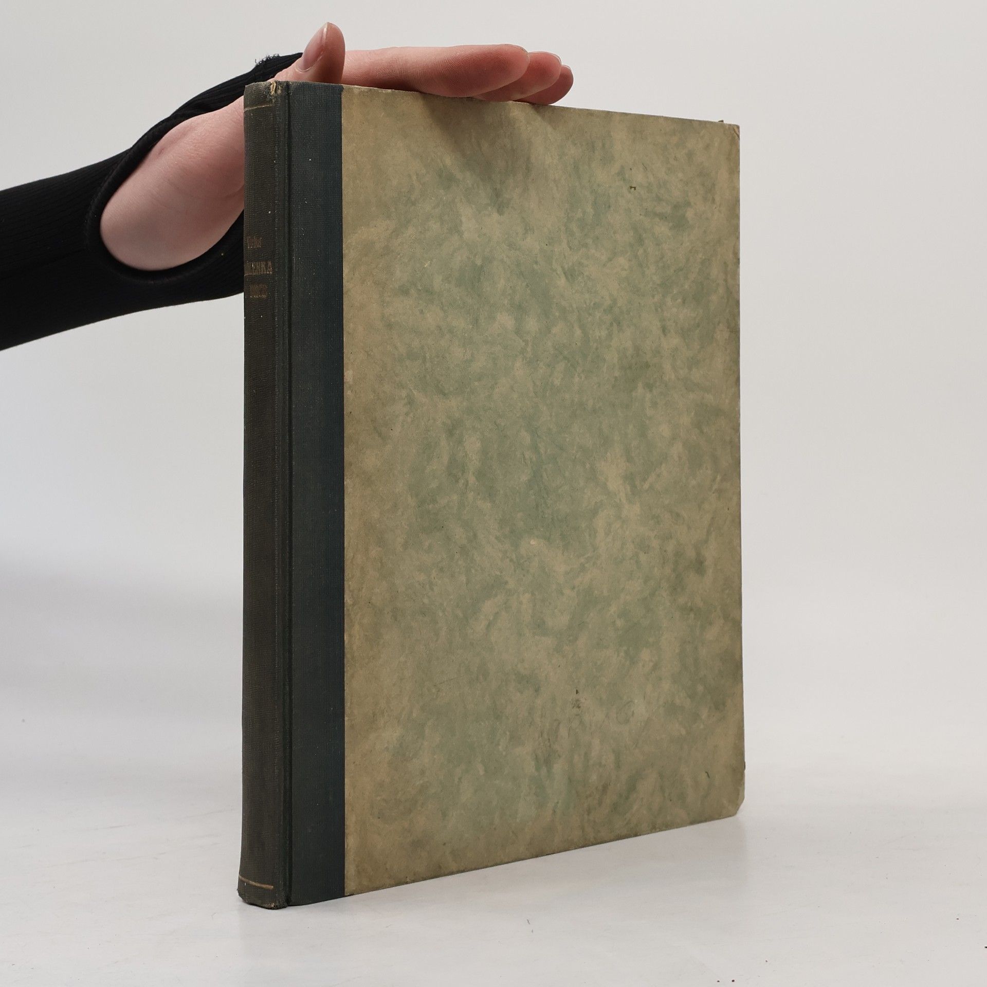 Jan Vrba Madlenka z Pece