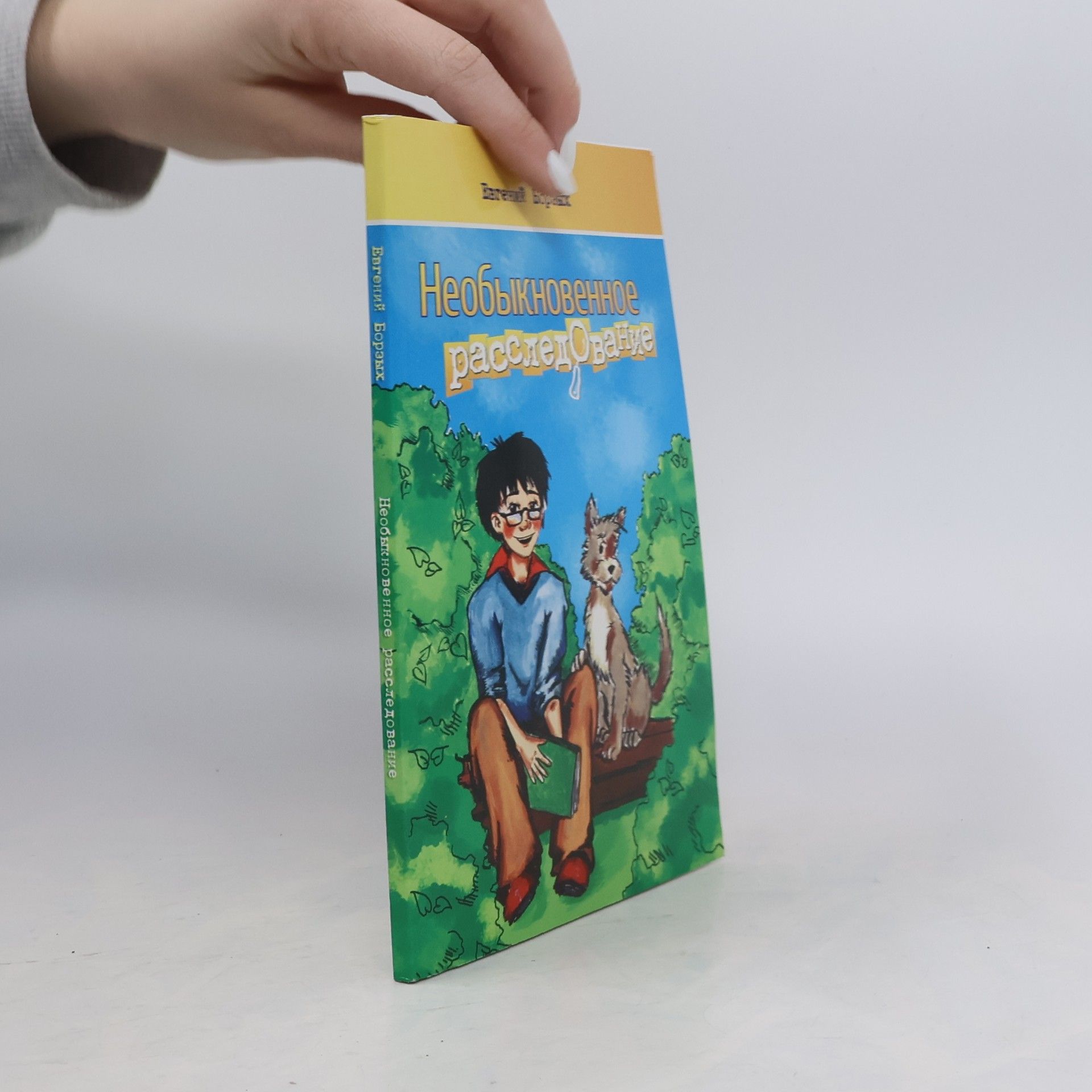 Евгений Борых Необыкновенное расследование