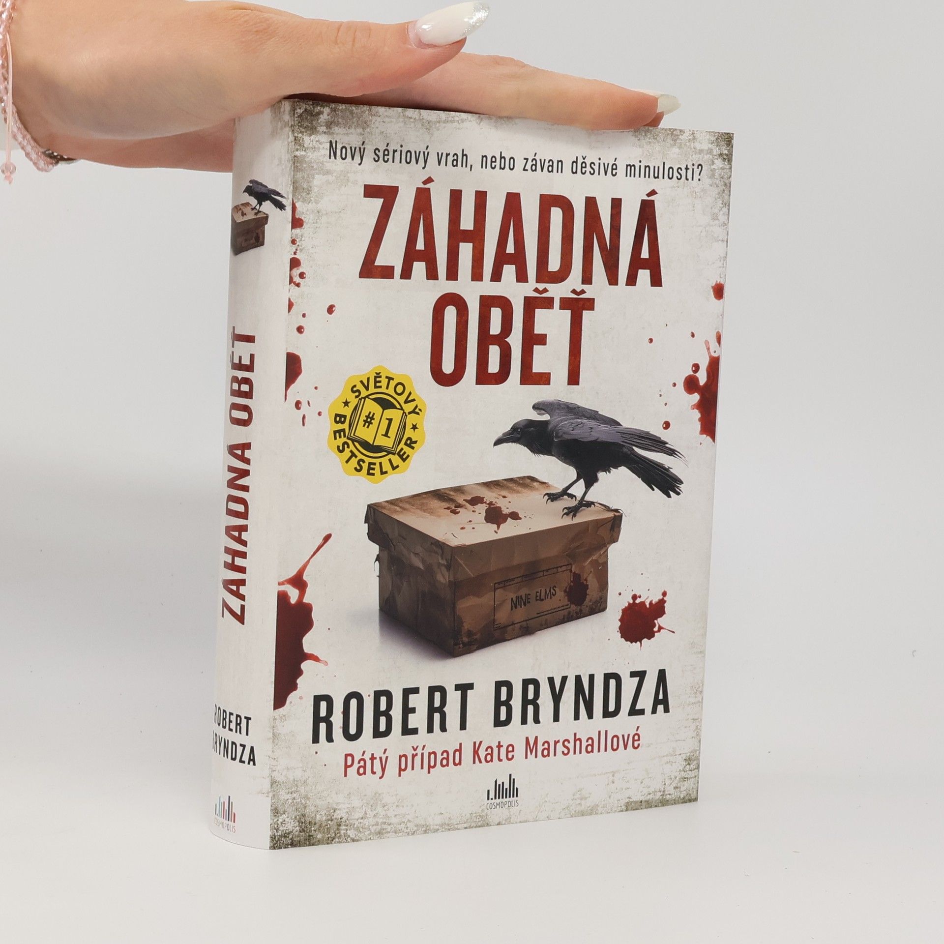 Robert Bryndza Záhadná oběť