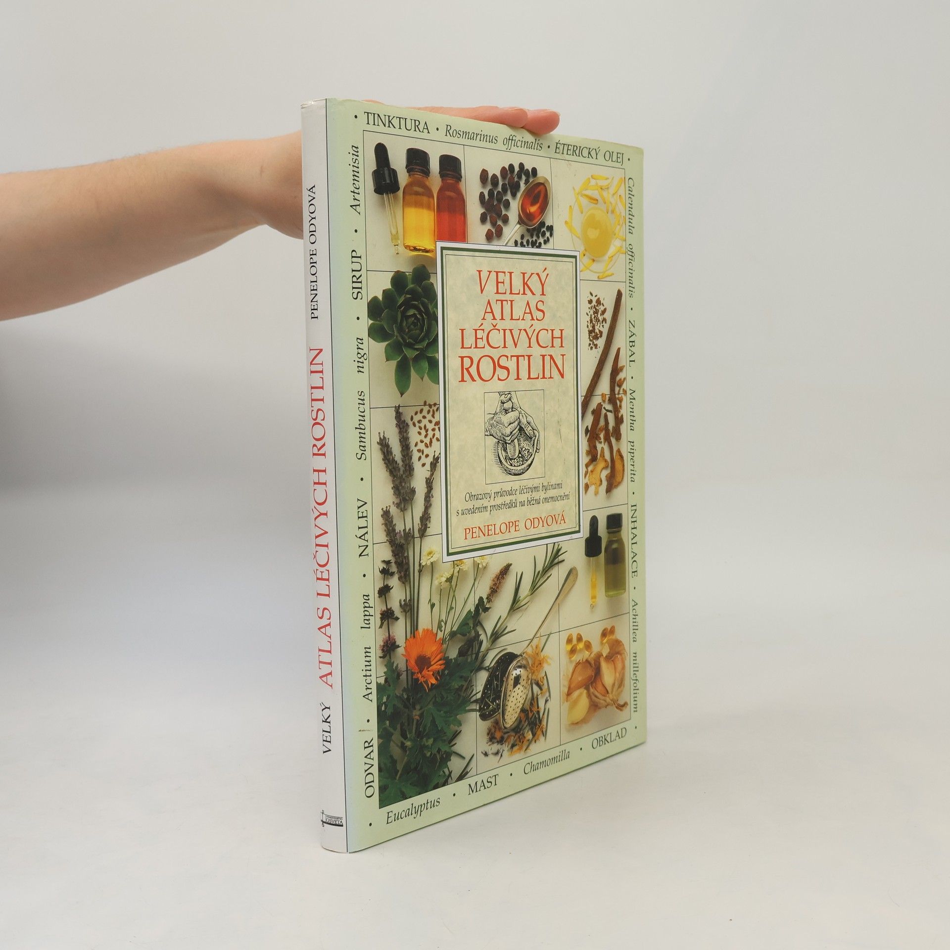 Penelope Ody Velký atlas léčivých rostlin
