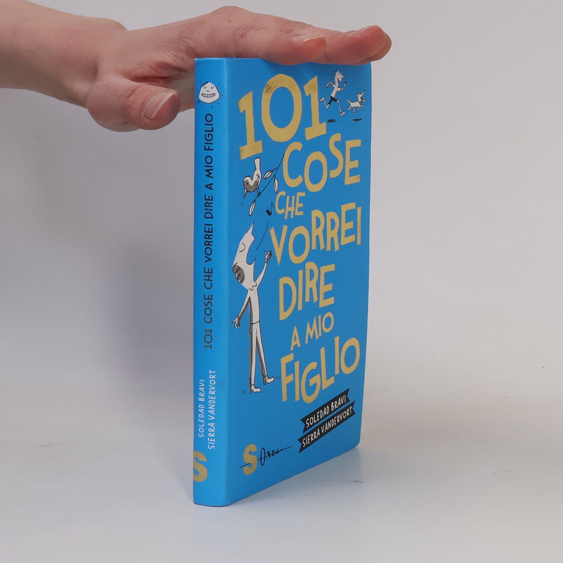 Sierra Vandervort 101 cose che vorrei dire a mio figlio