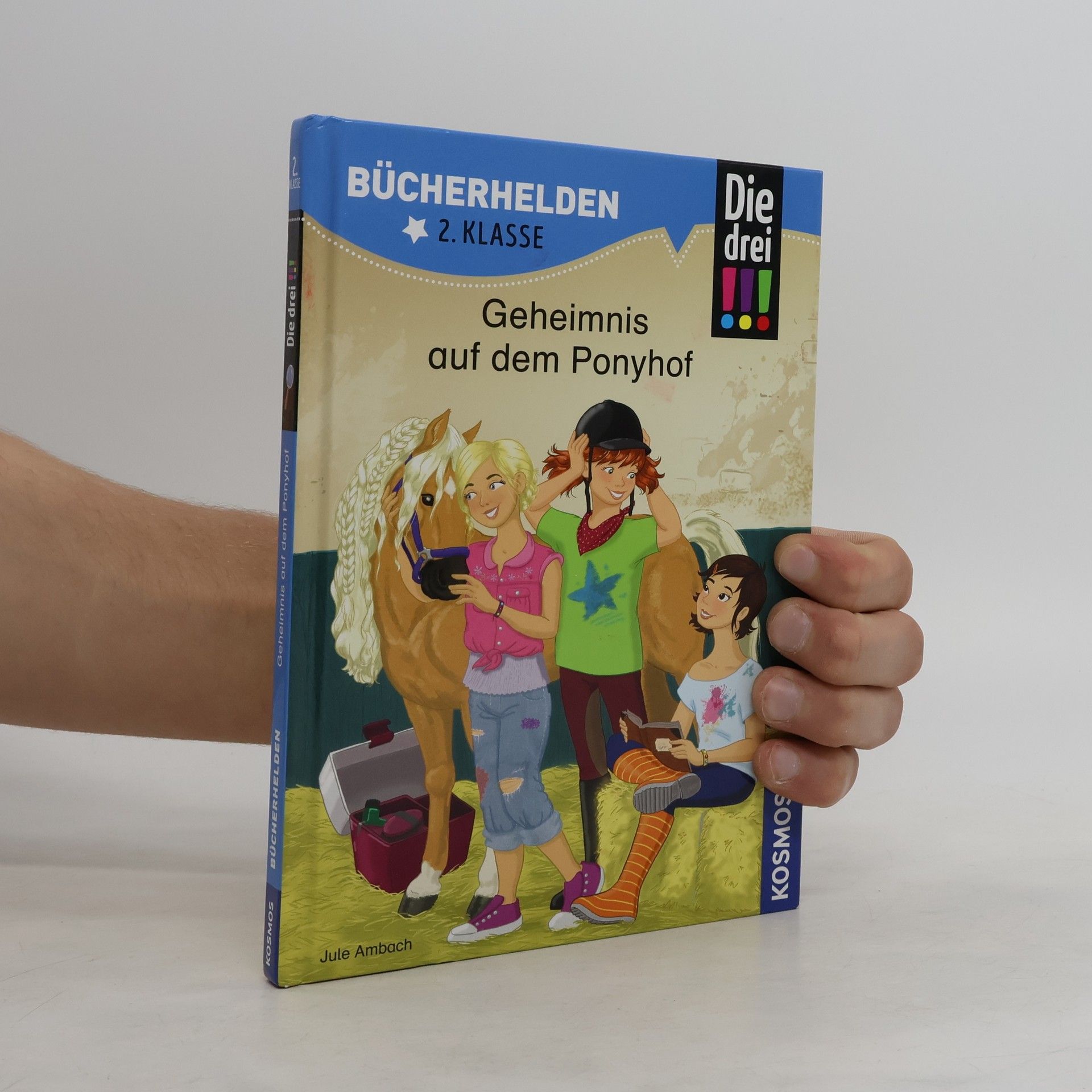 Jule Ambach Geheimnis auf dem Ponyhof