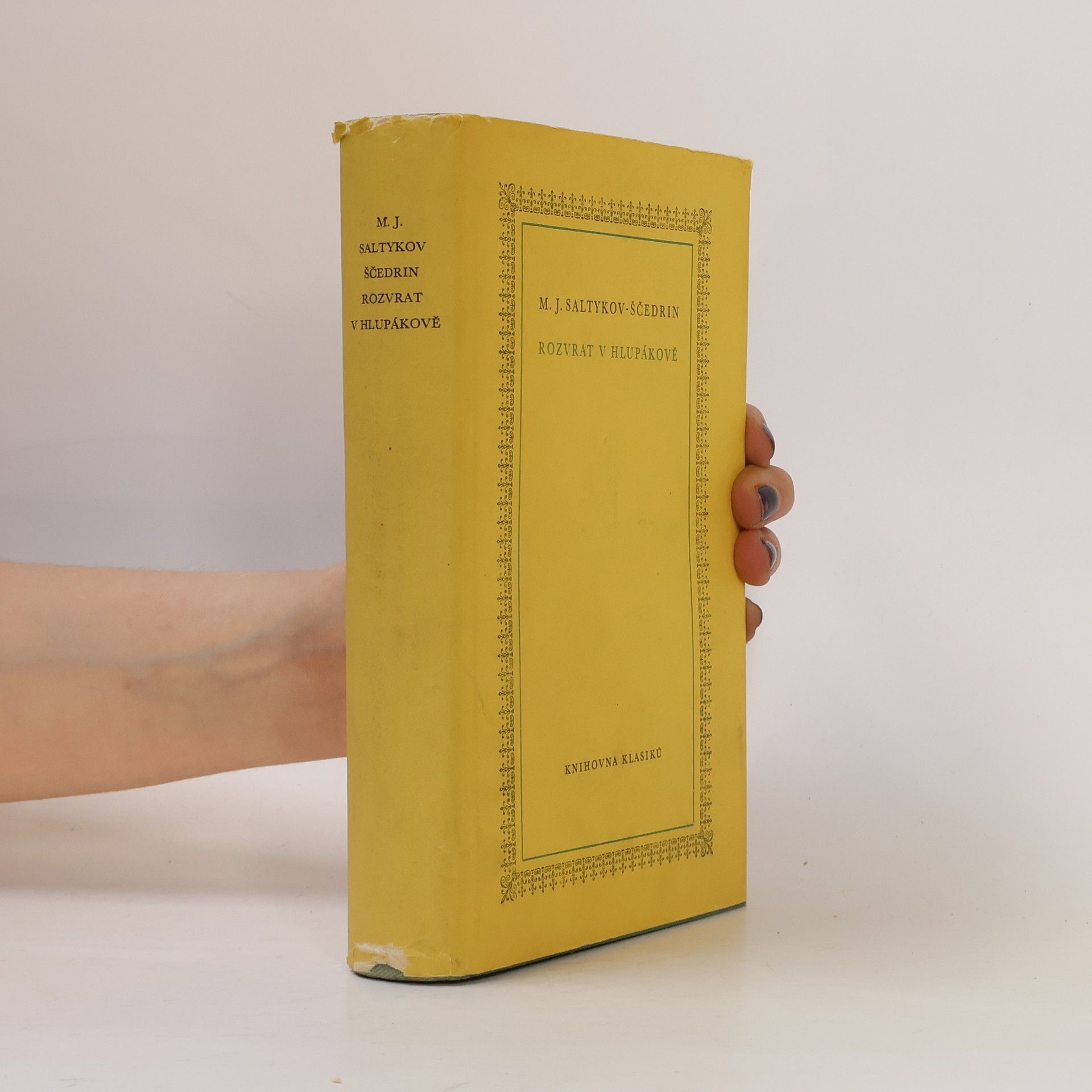 Darja Podlipská Rozvrat v Hlupákově