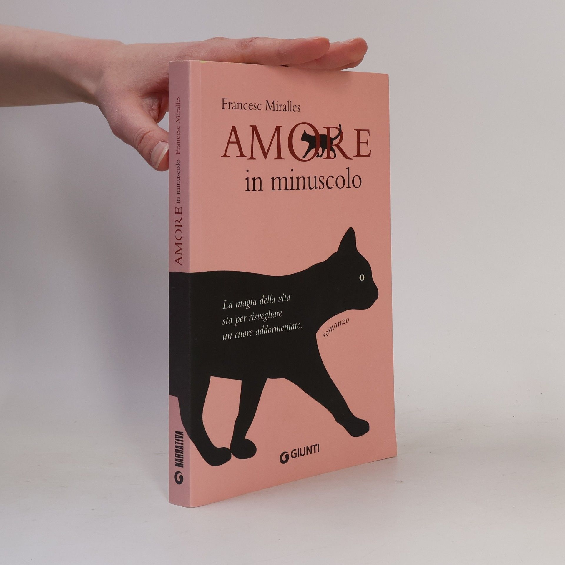 Francesc Miralles i Contijoch Amore in minuscolo