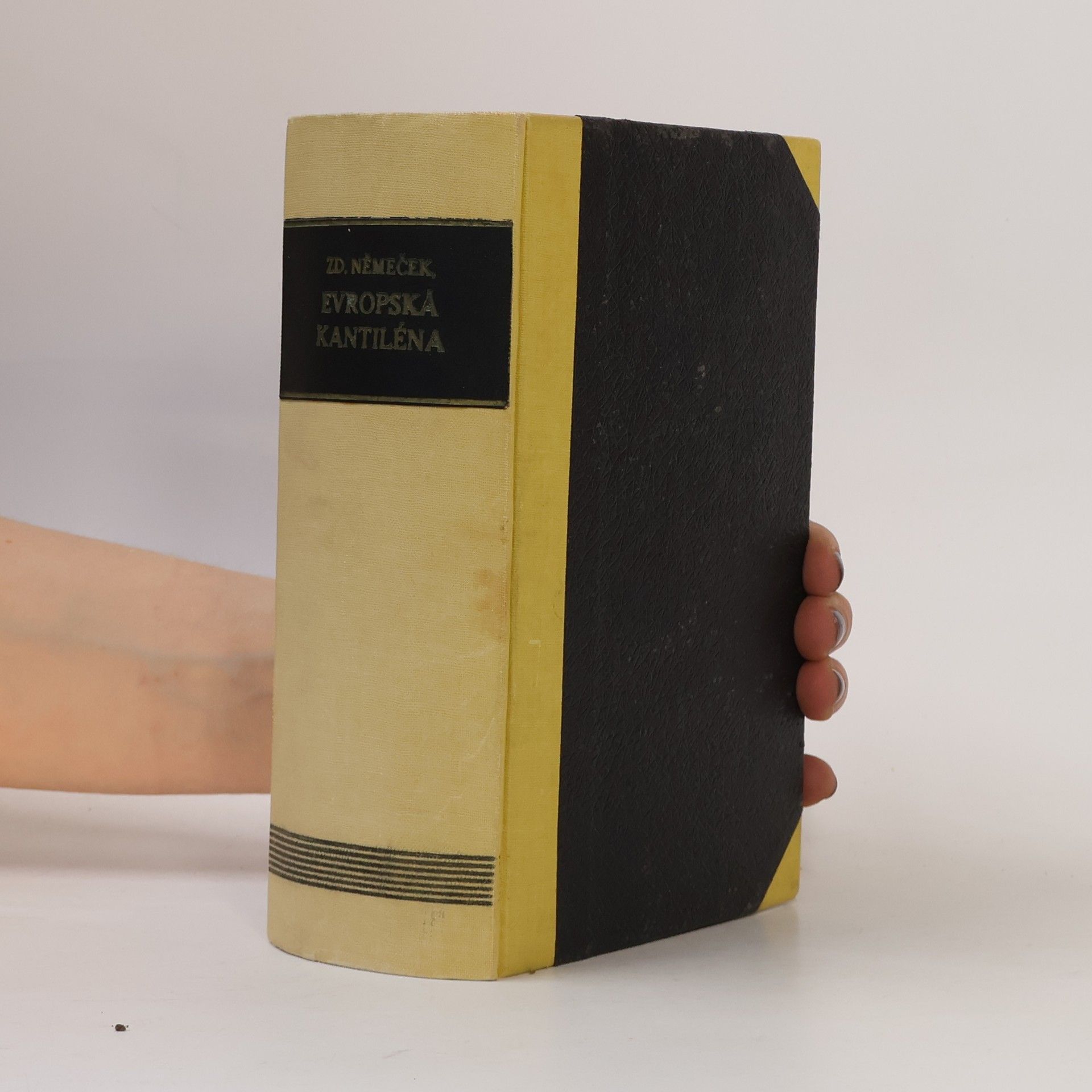 Zdeněk Němeček Evropská kantiléna