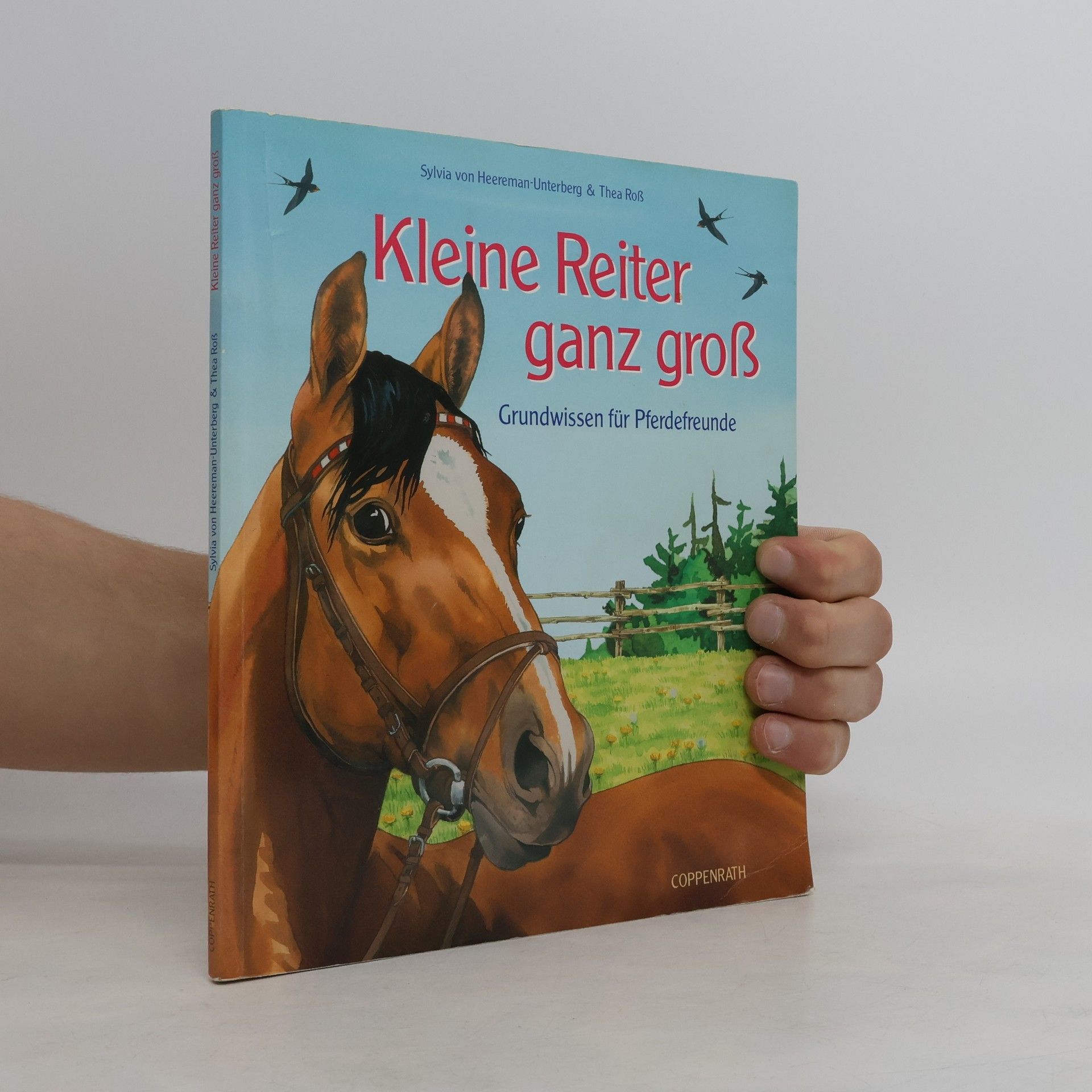 Sylvia von Heereman Unterberg Kleine Reiter ganz groß
