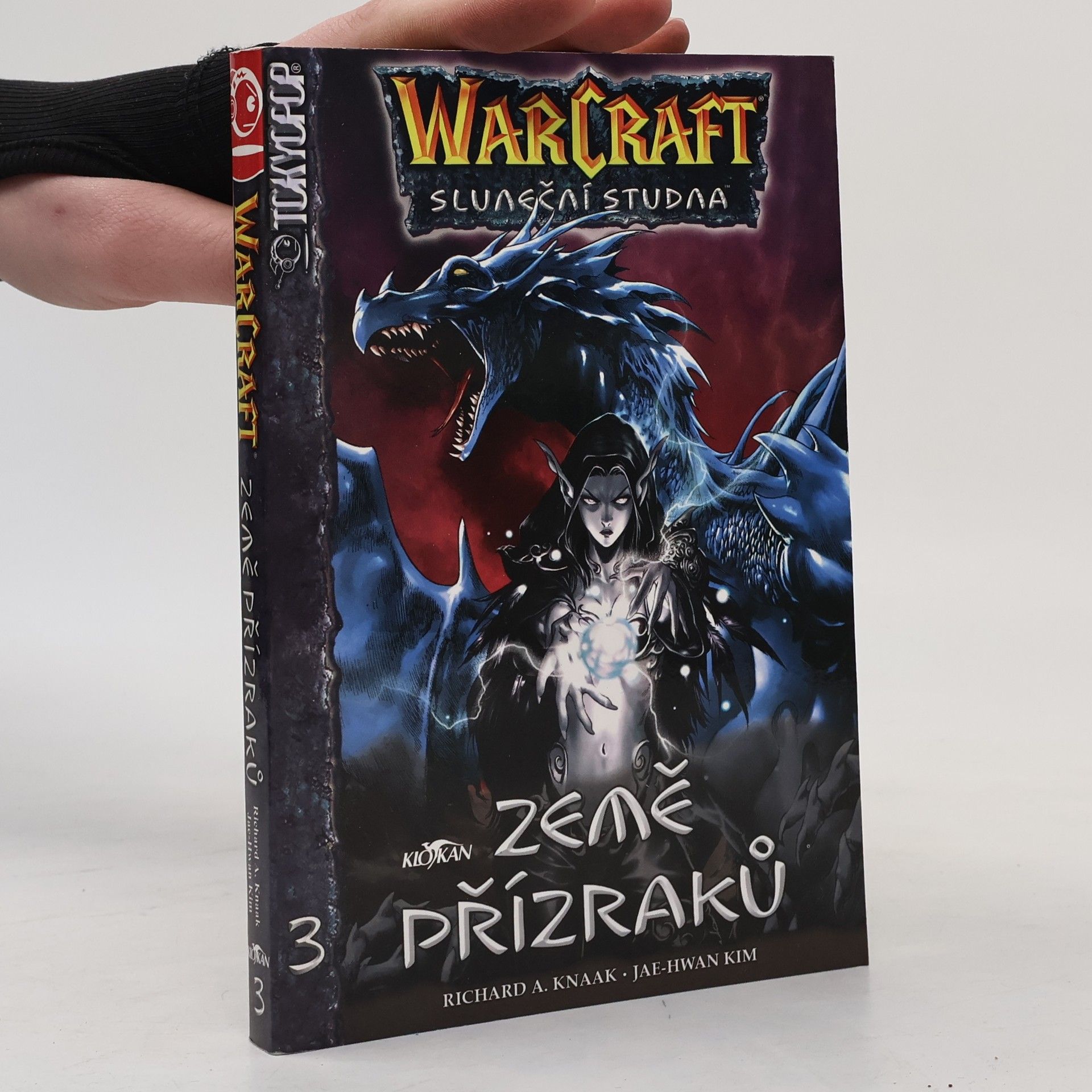 Richard A. Knaak Warcraft :Sluneční studna. Díl 3, Země přízraků