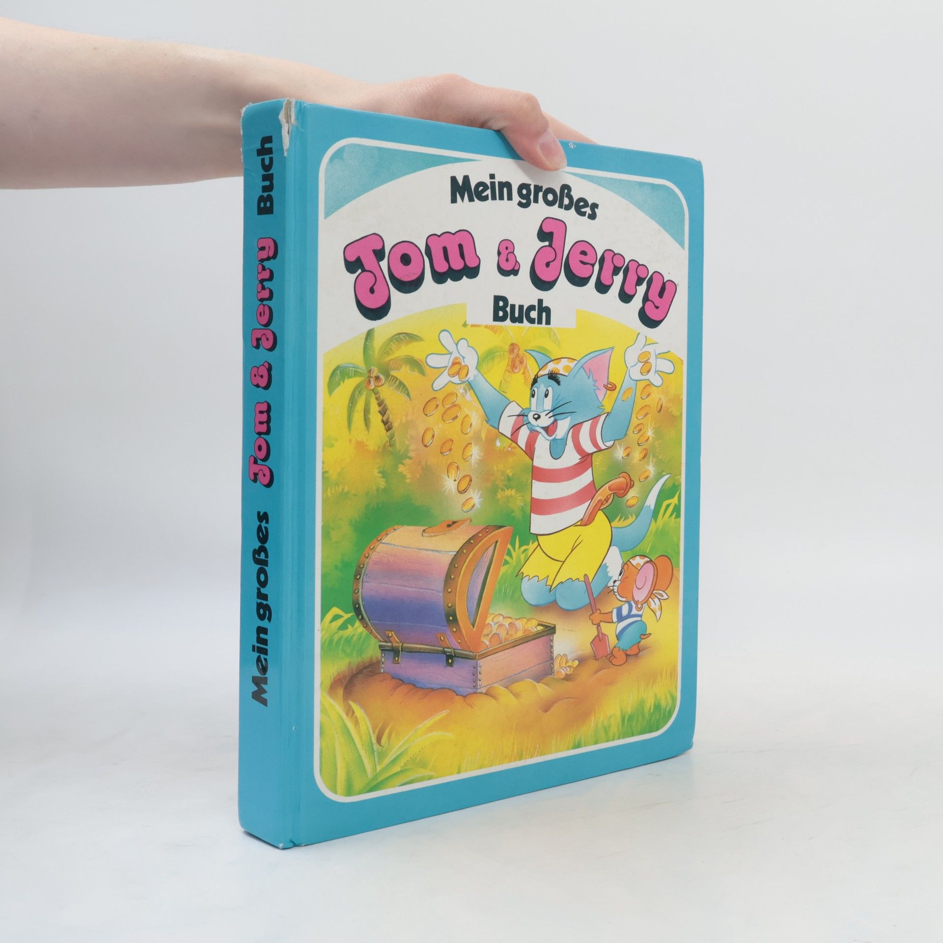 Autorenkollektiv Mein großes Tom a Jerry Buch
