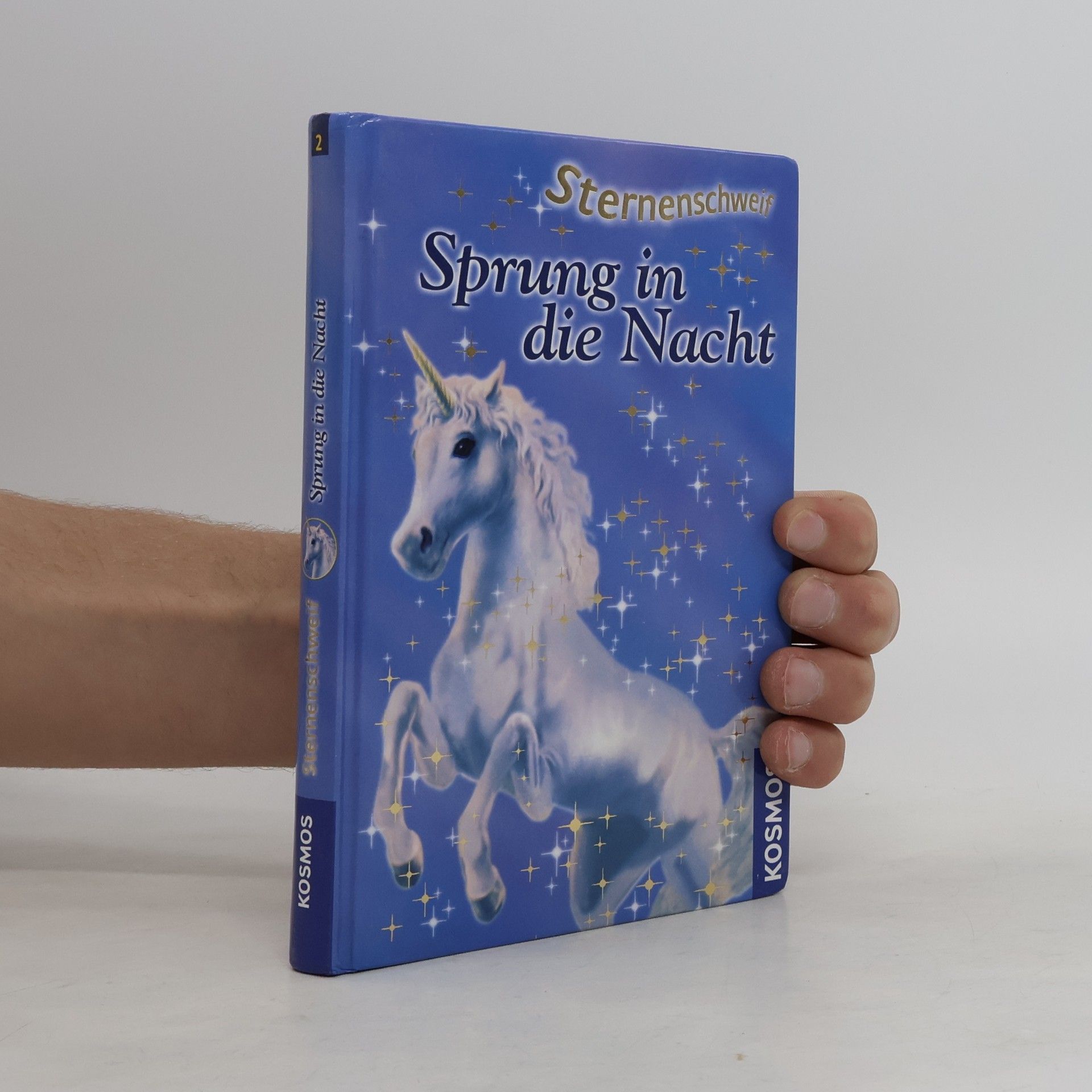 Linda Chapman Sprung in die Nacht