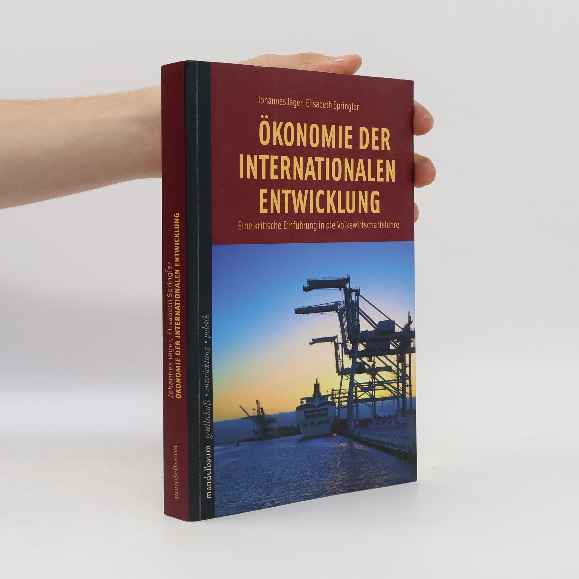 Johannes Jager Ökonomie der internationalen Entwicklung