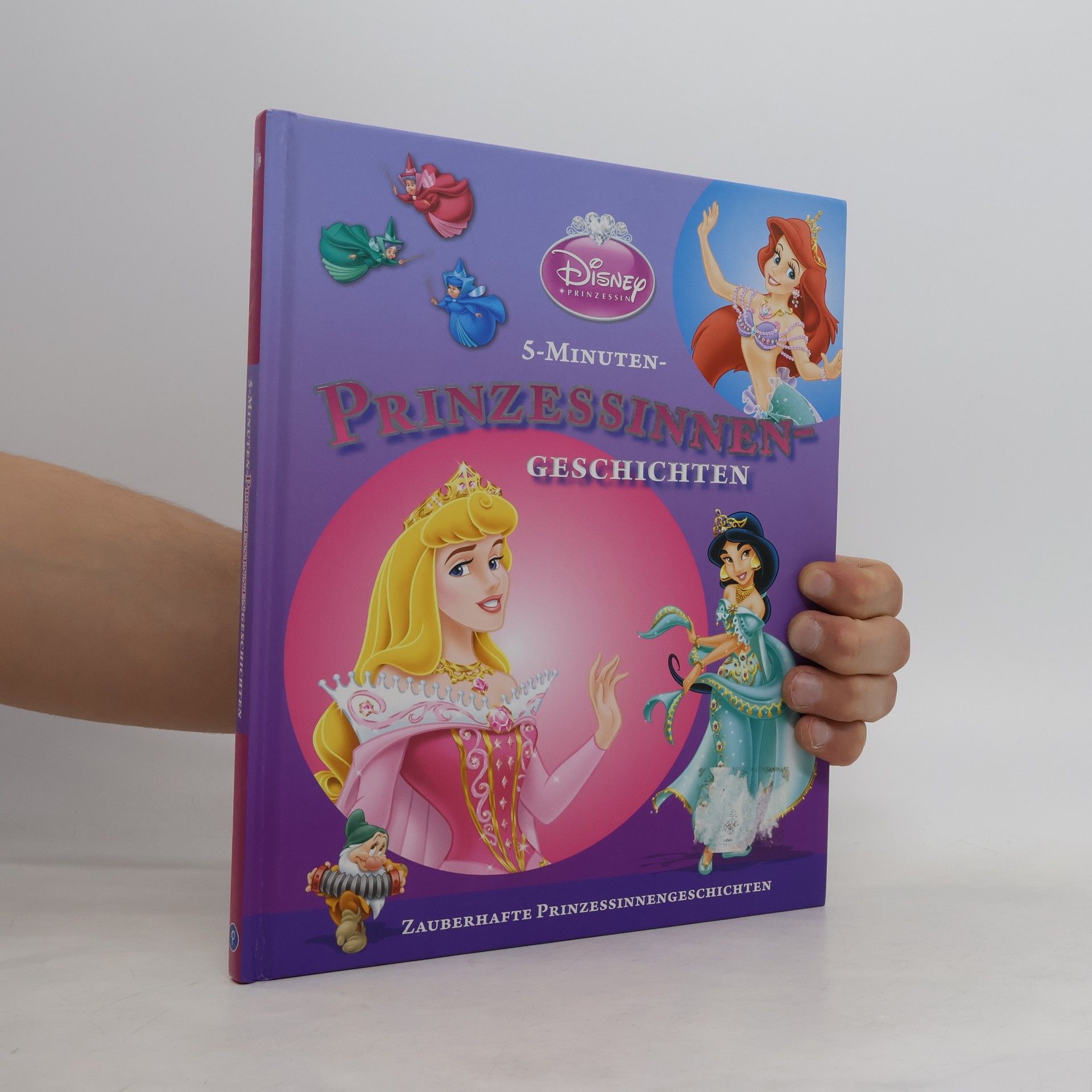 Autorenkollektiv Prinzessinnen-Geschichten