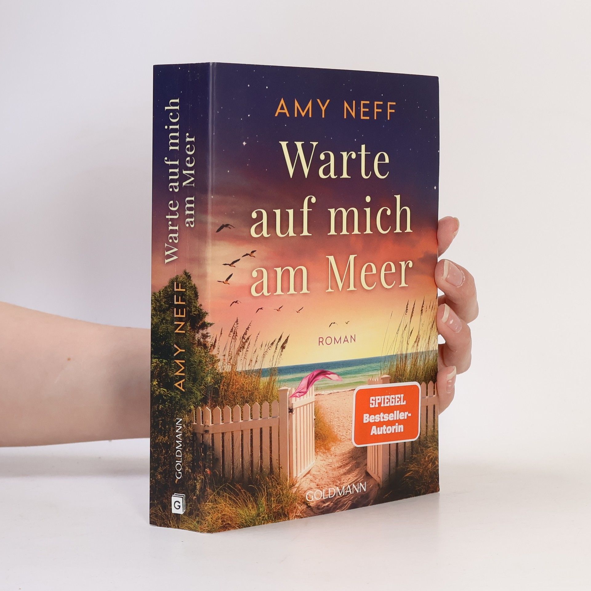 Amy Neff Warte auf mich am Meer