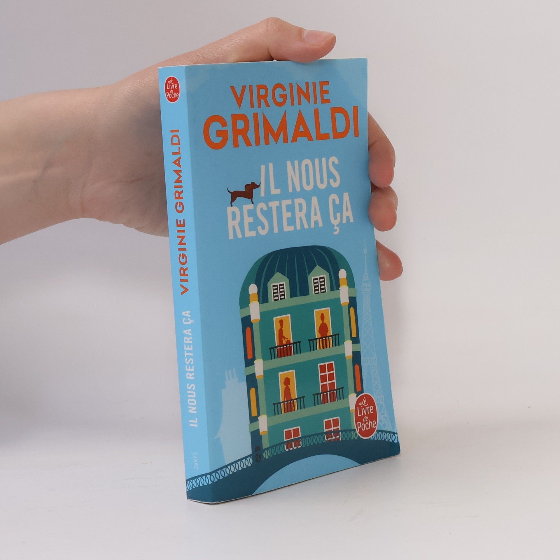 Virginie Grimaldi Il nous restera ça