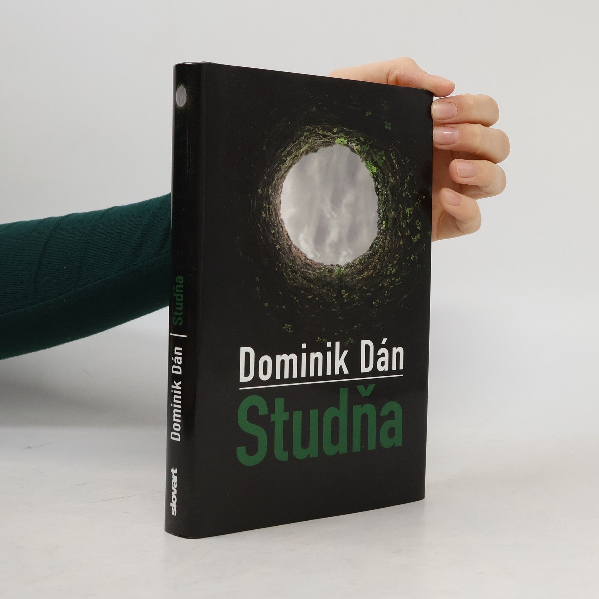 Dominik Dán Studňa