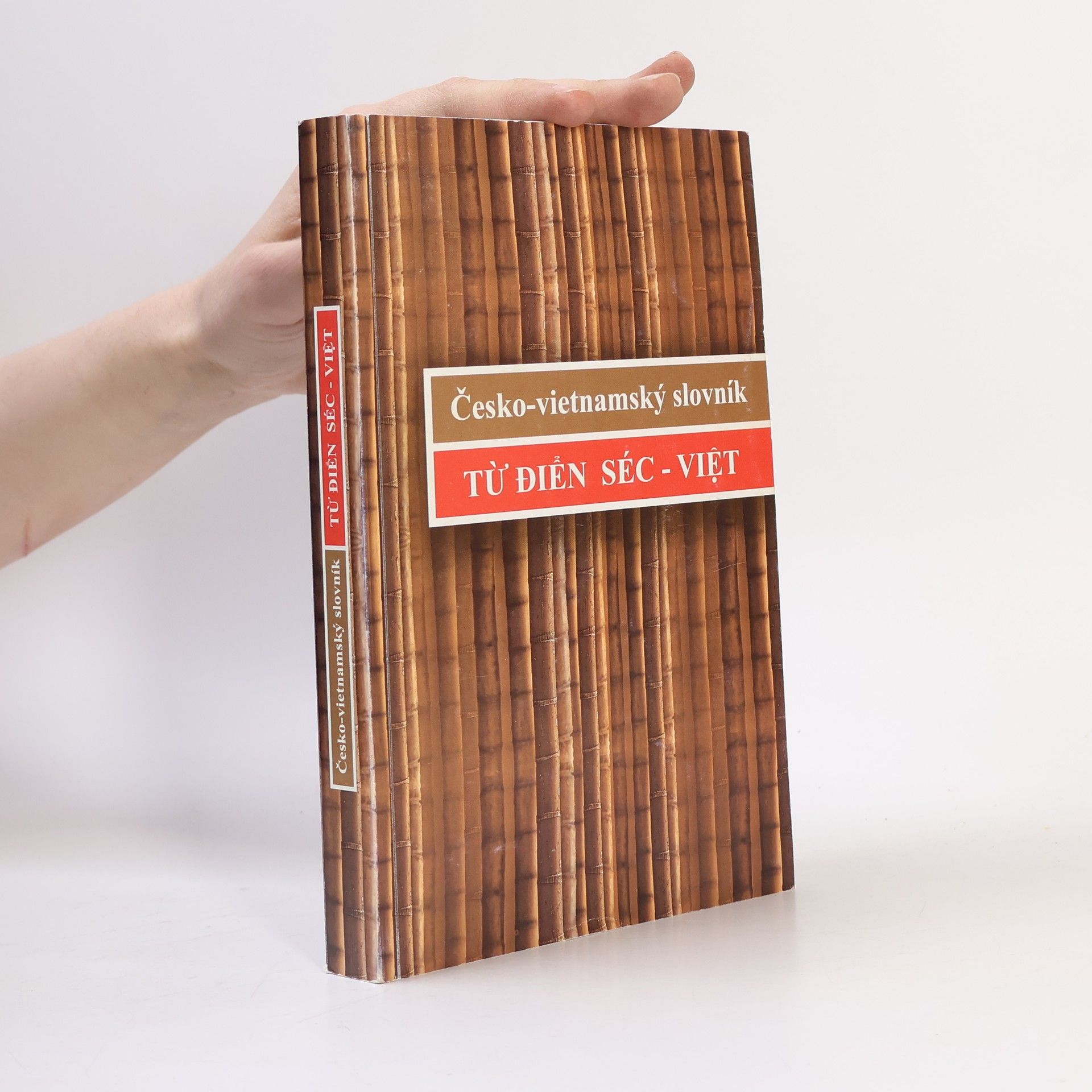 Autorenkollektiv Česko-vietnamský slovník