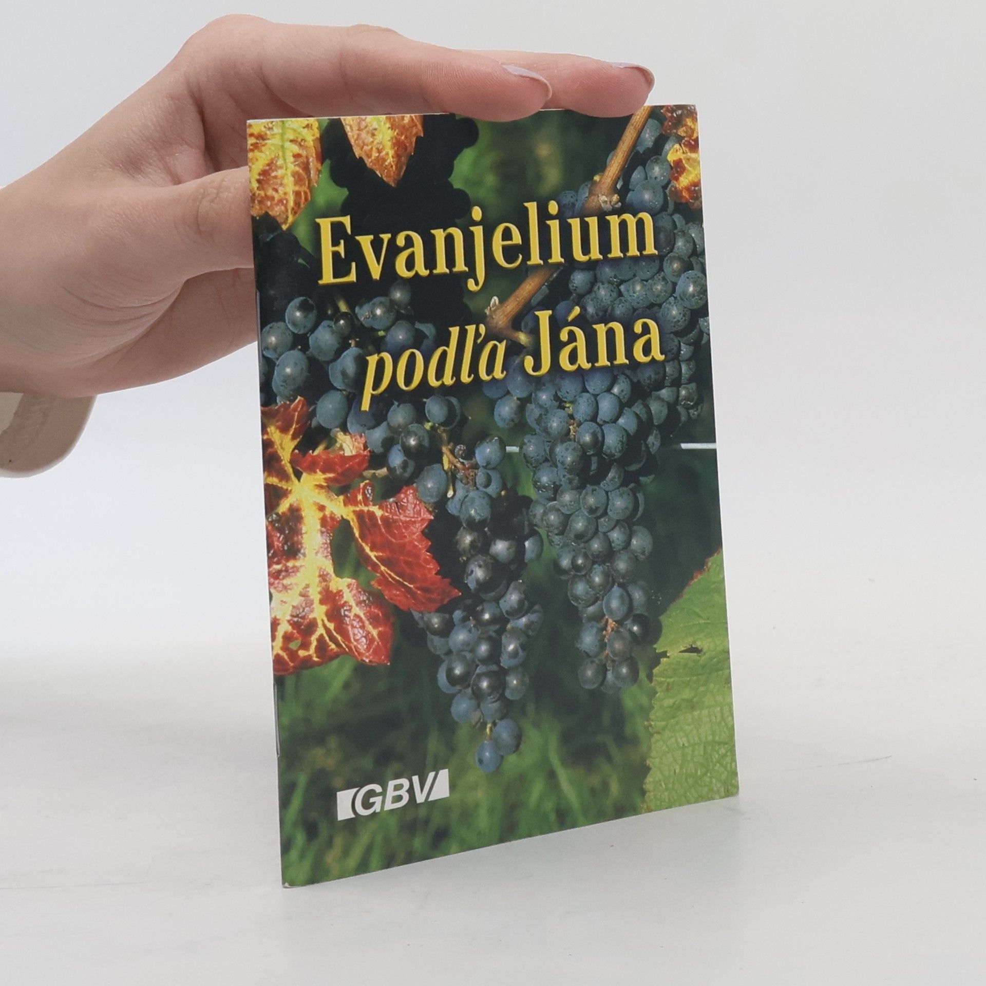 Kolektív autorov Evanjelium podľa Jána