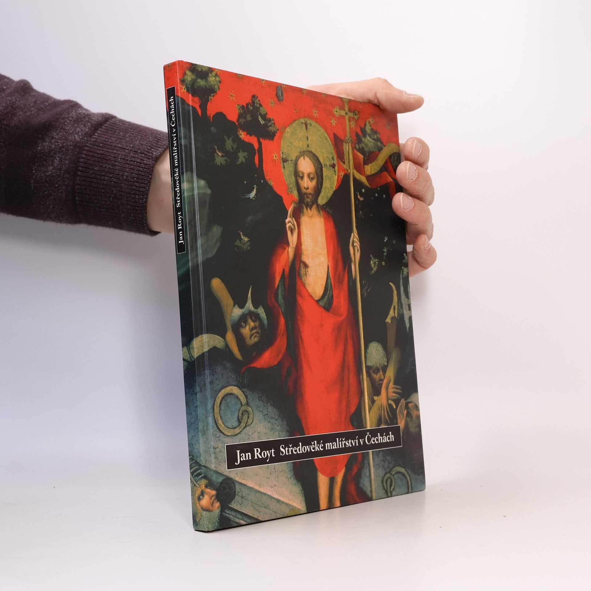 Jan Royt Středověké malířství v Čechách