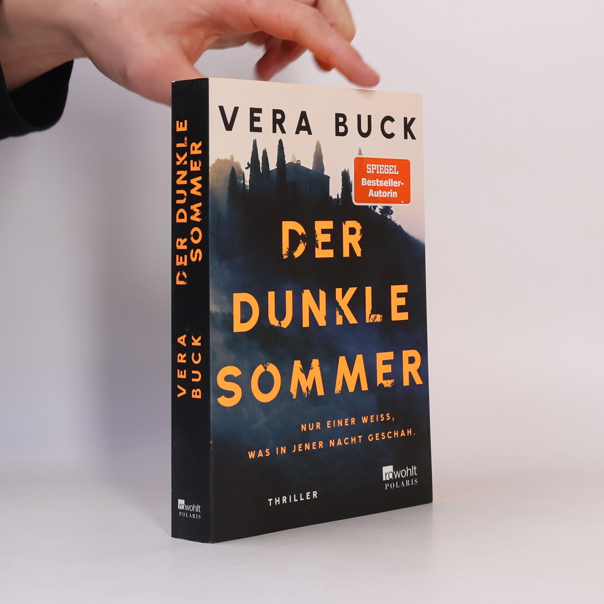 Der dunkle Sommer