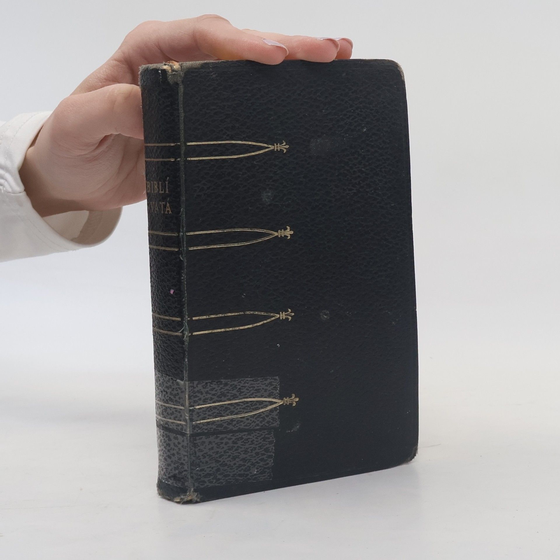 Kolektív autorov Biblí svatá aneb všecka svatá písma