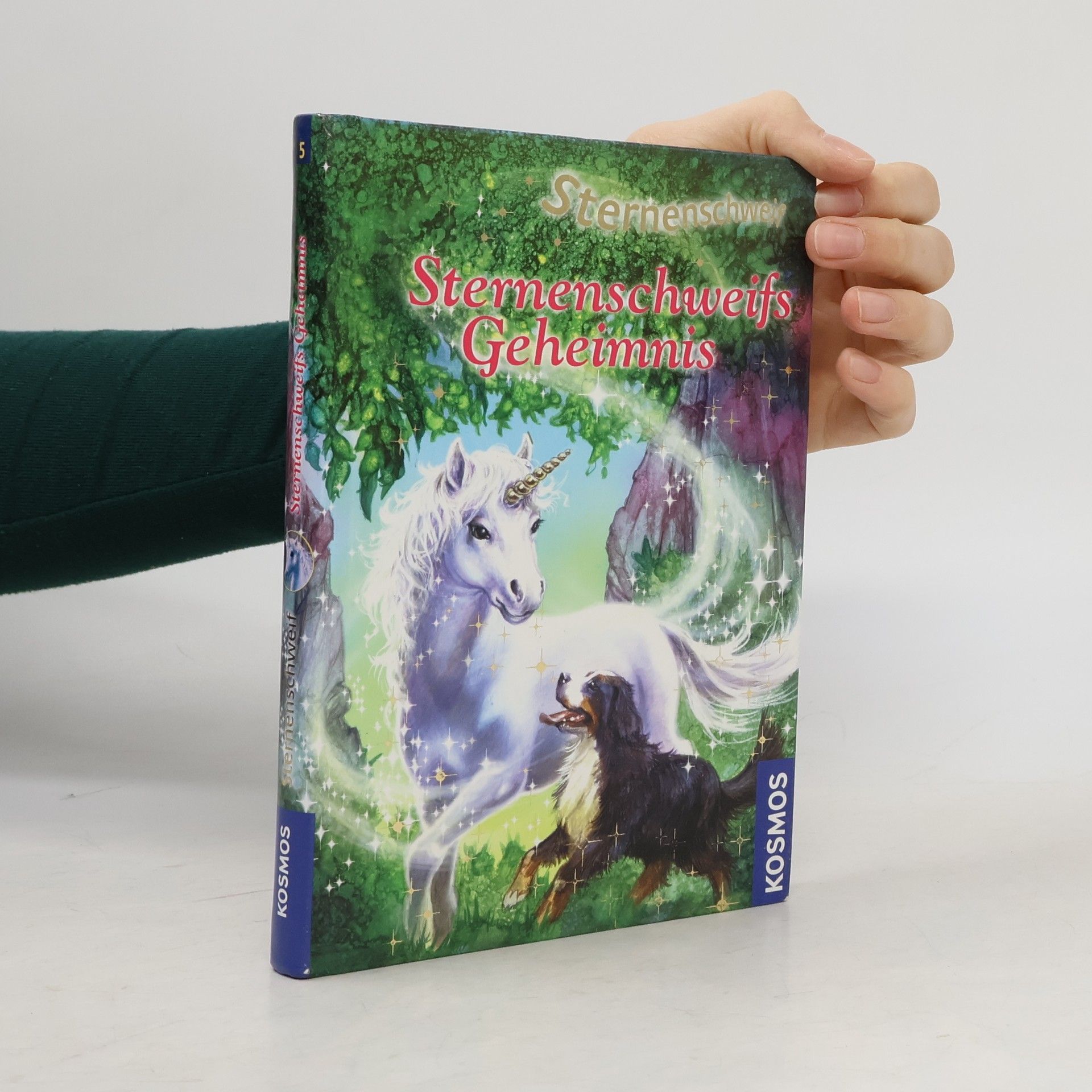 Linda Chapman Sternenschweifs Geheimnis 5