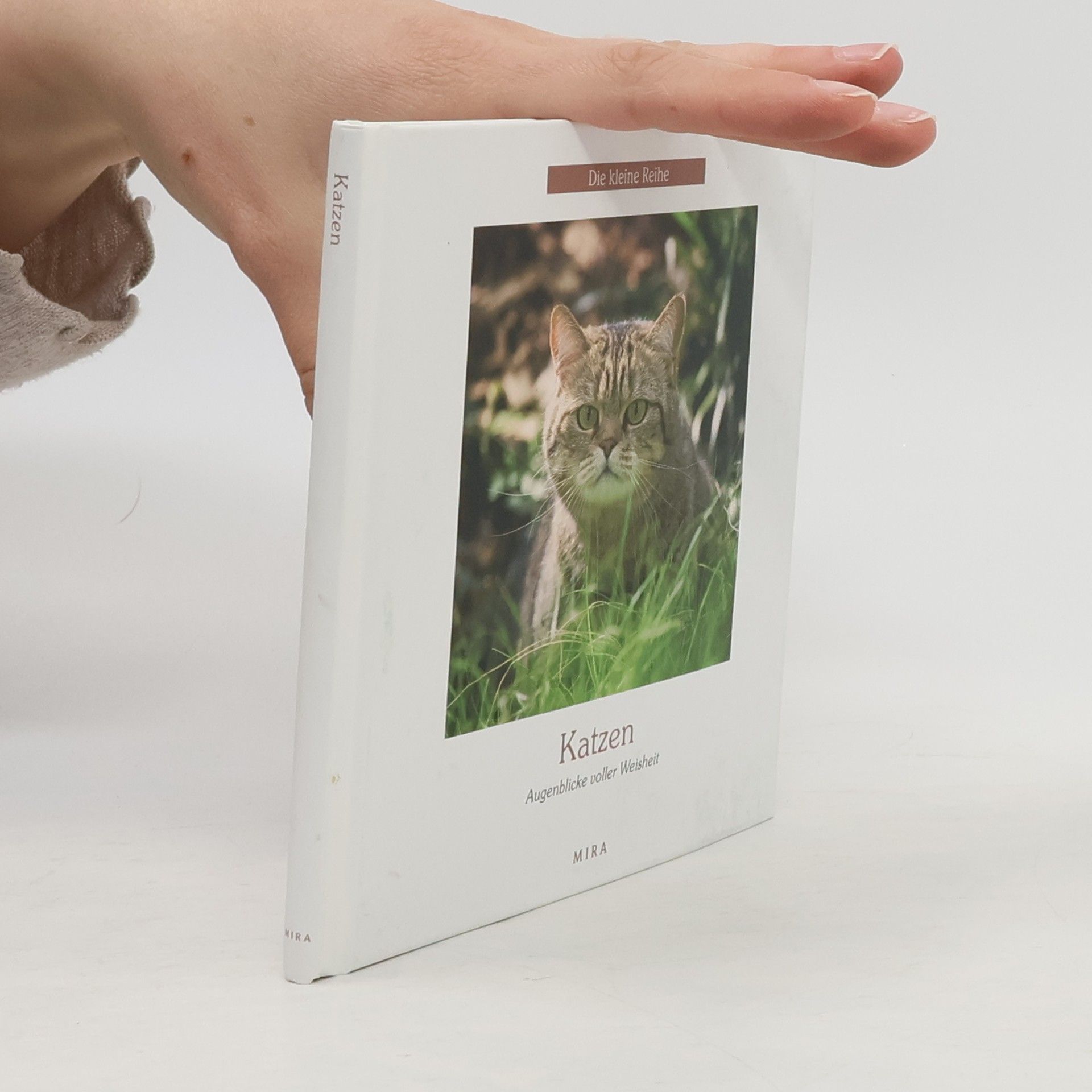 Various authors Katzen