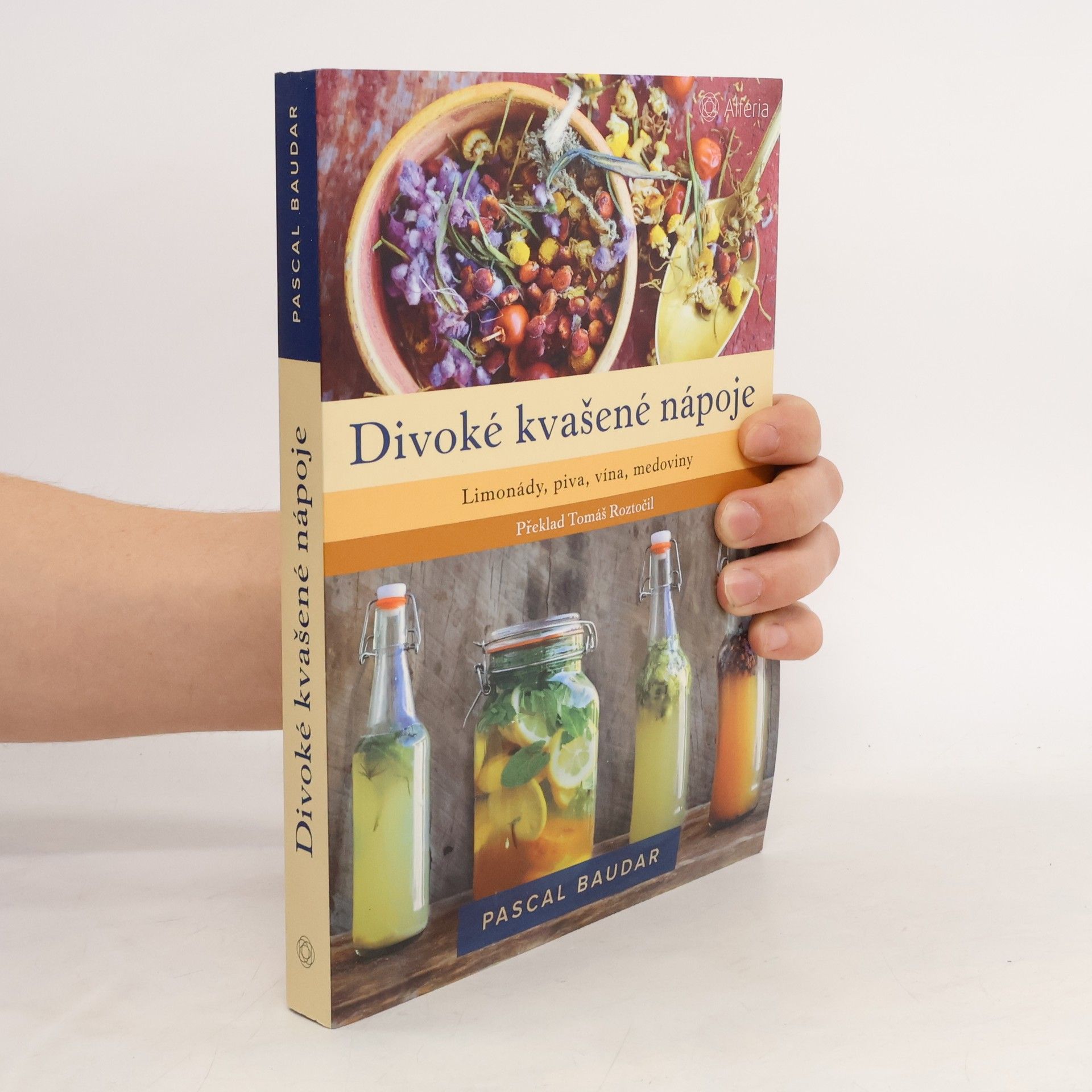 Pascal Baudar Divoké kvašené nápoje : limonády, piva, vína, medoviny