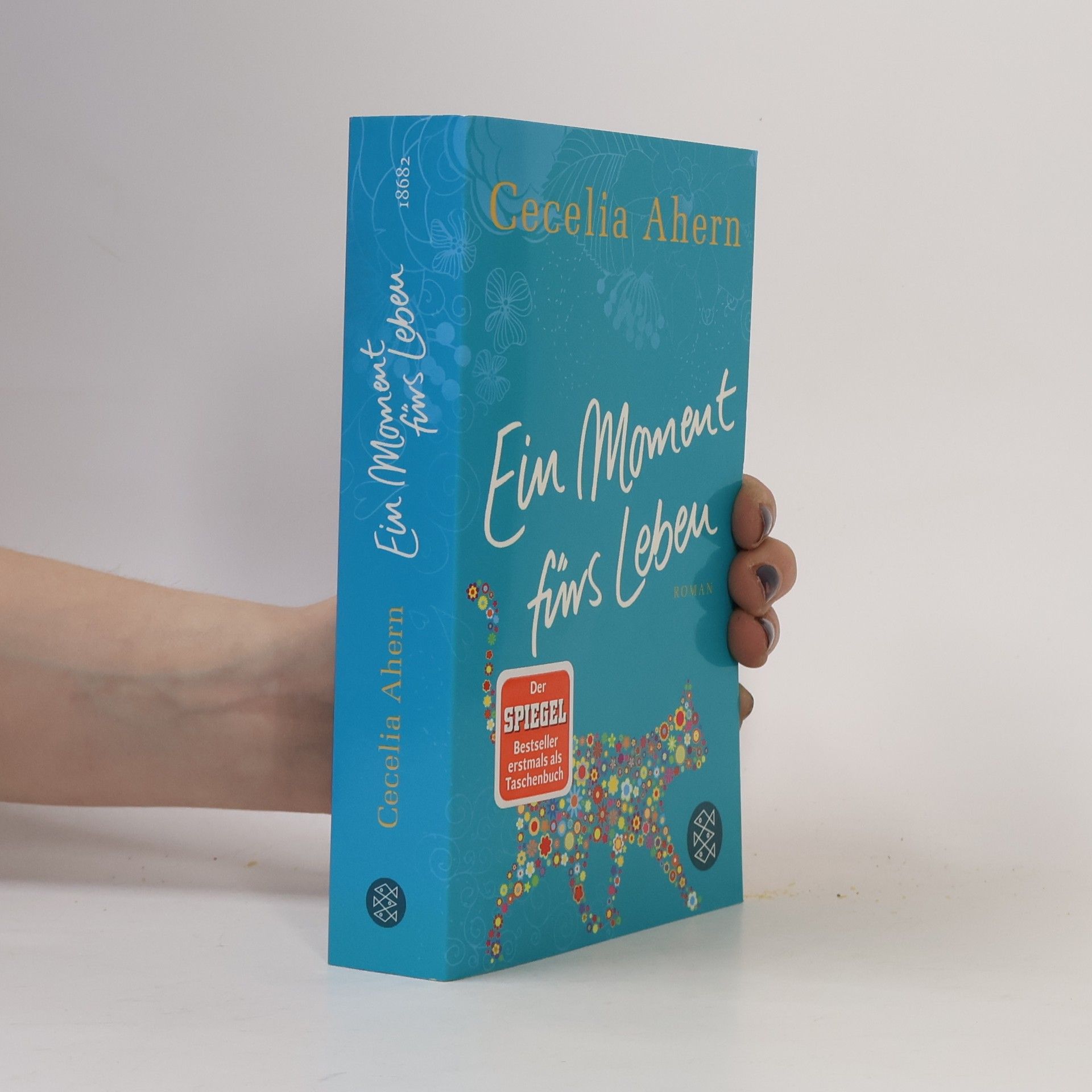 Cecelia Ahern Ein Moment fürs Leben