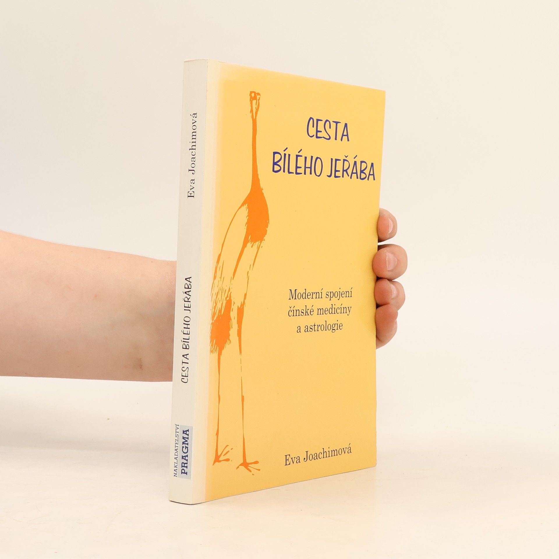 Cesta bílého jeřába