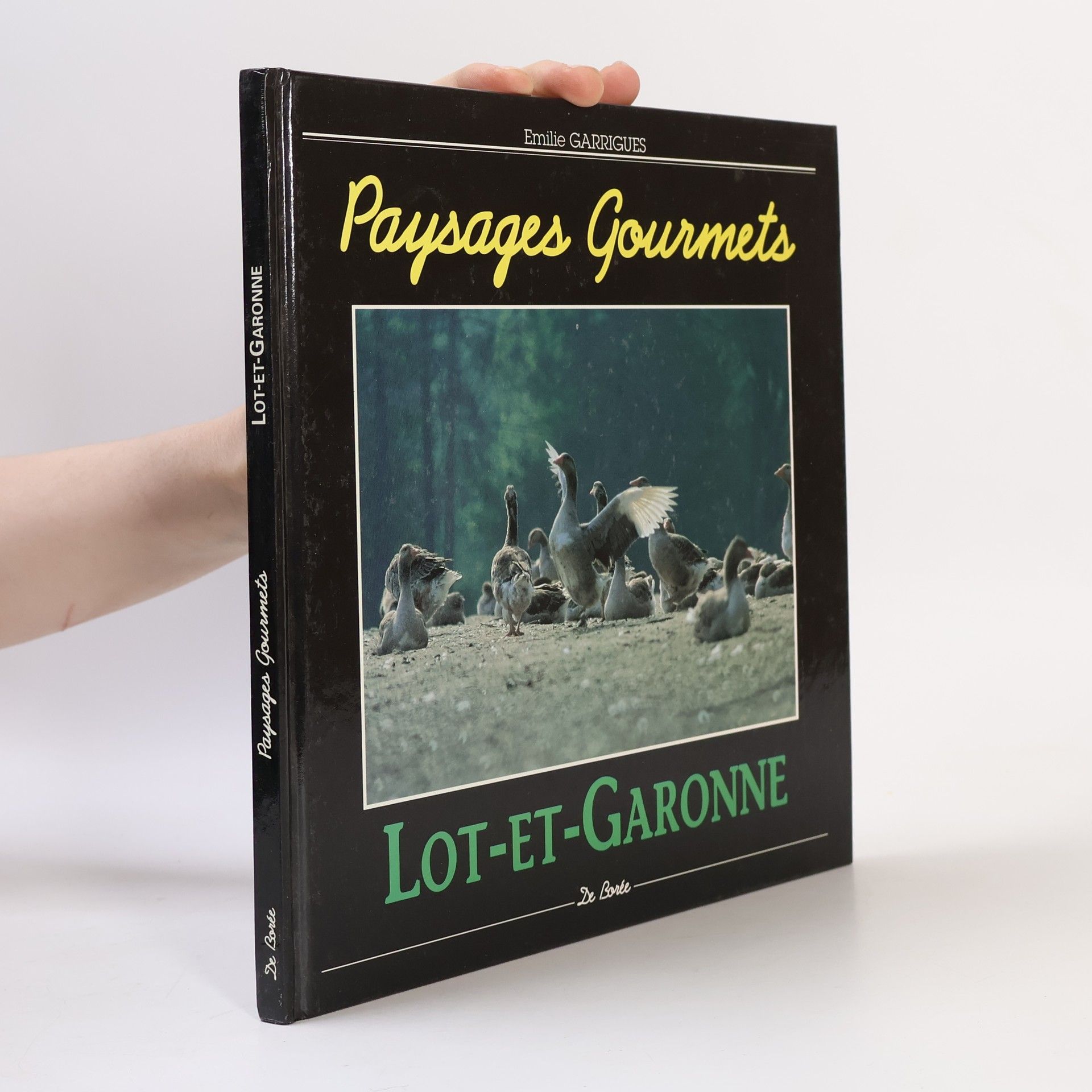 Emilie Garrigues Lot-et-Garonne