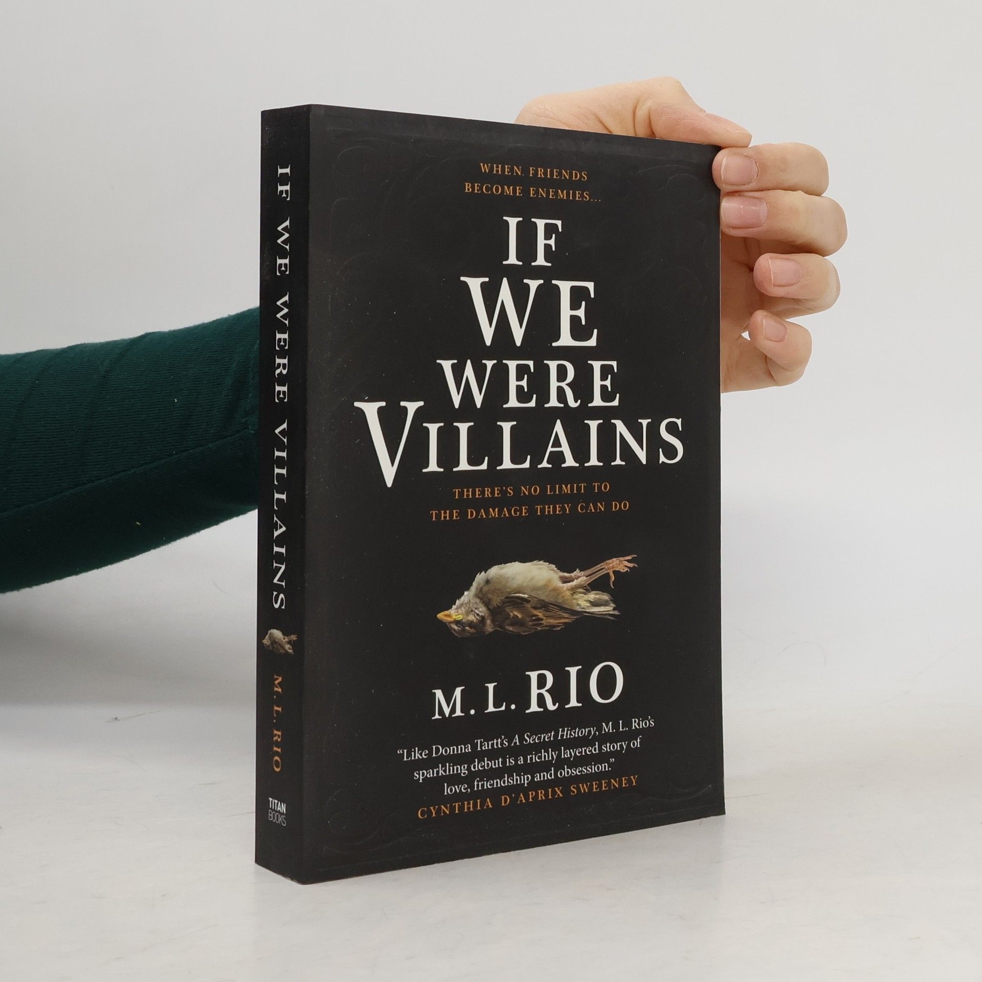 M. L. Rio If We Were Villains