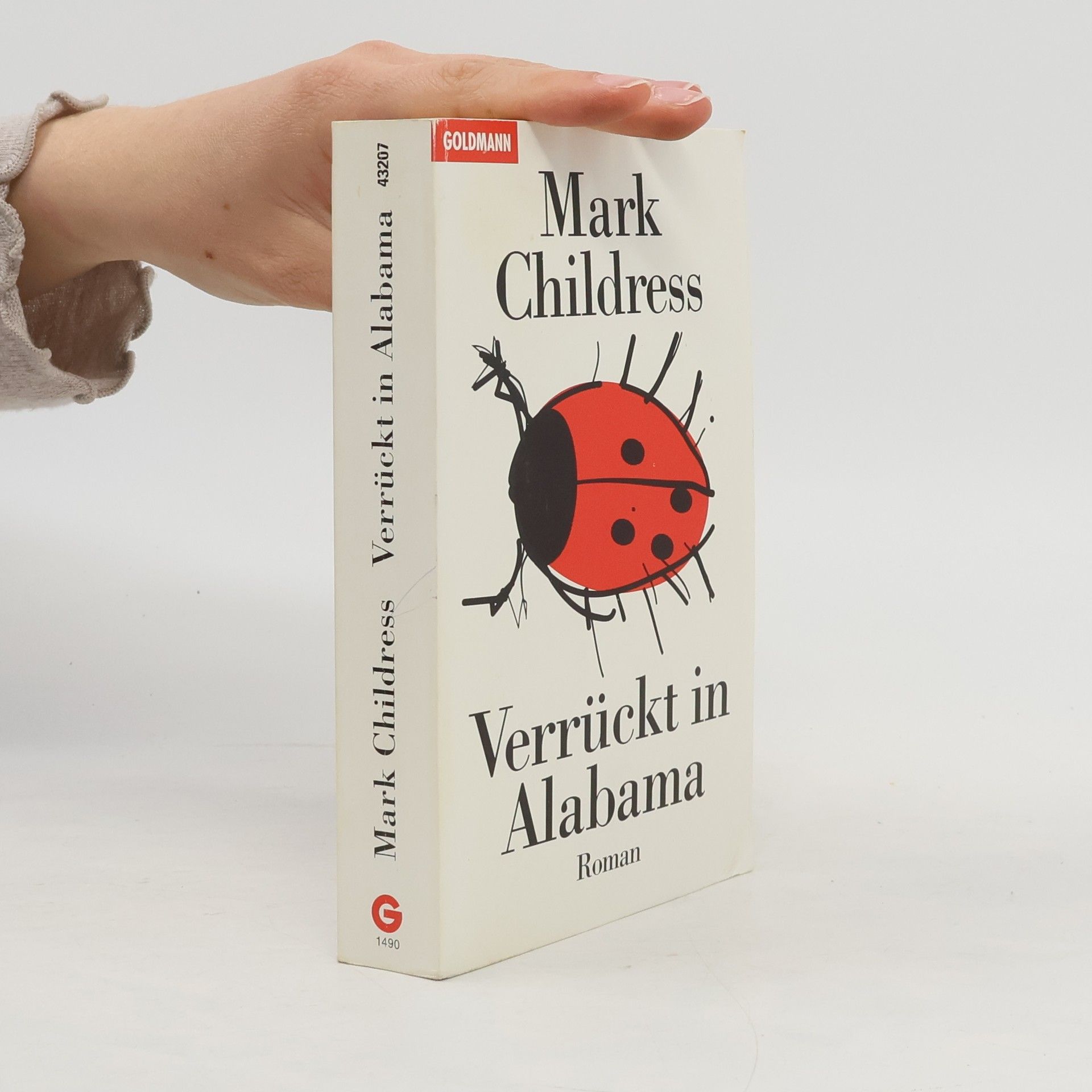 Mark Childress Verrückt in Alabama