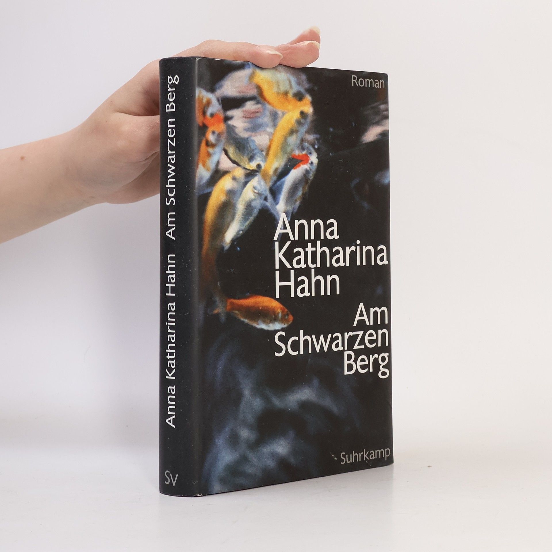 Anna Katharina Hahn Am Schwarzen Berg