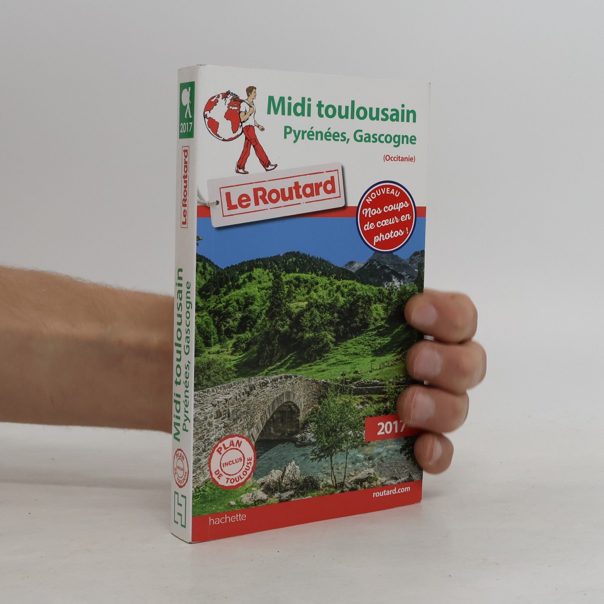 Collectif d'auteurs Guide du Routard - 2017: Midi Toulousain (Pyrénées, Gascogne)