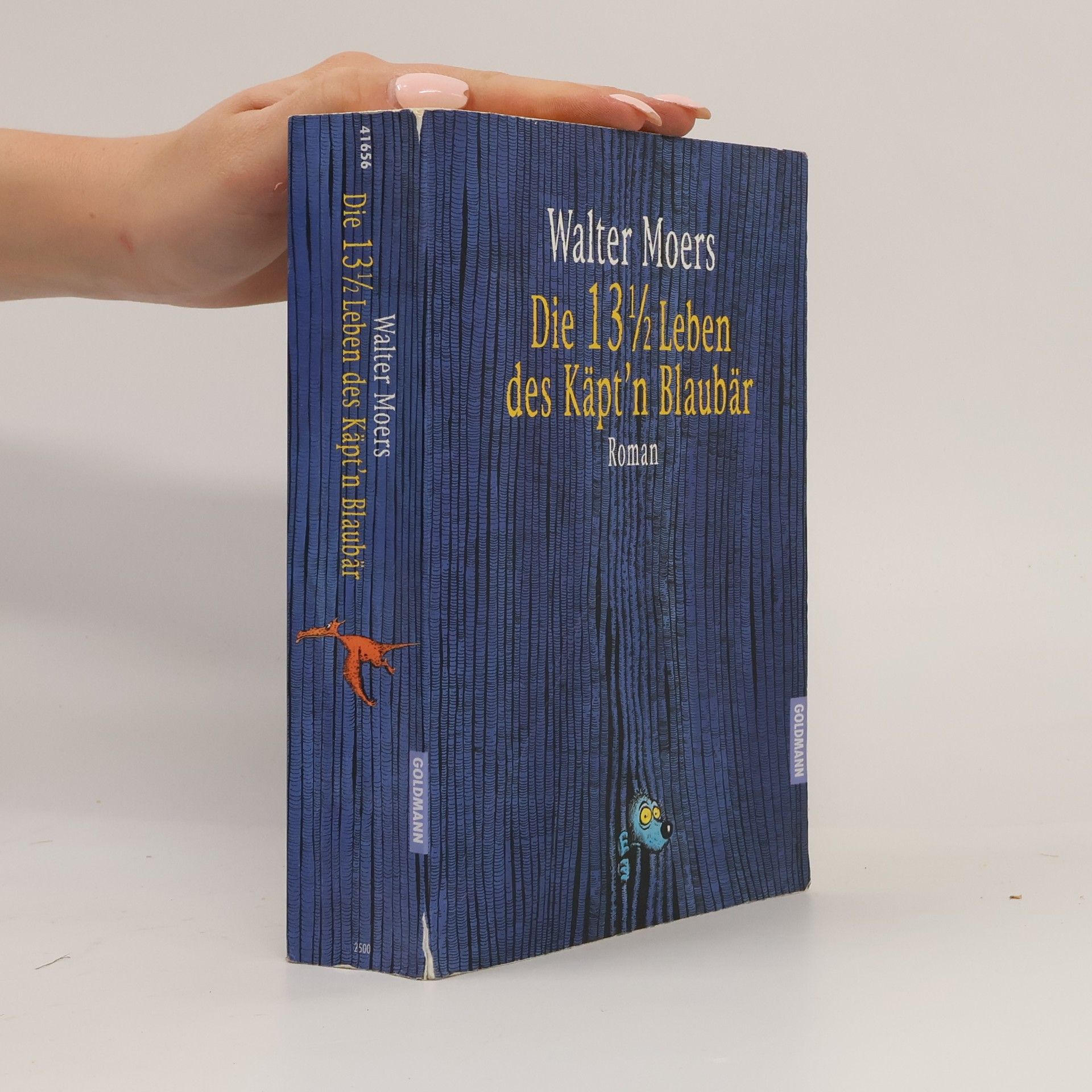 Walter Moers Die 13 1/2 Leben des Käpt’n Blaubär