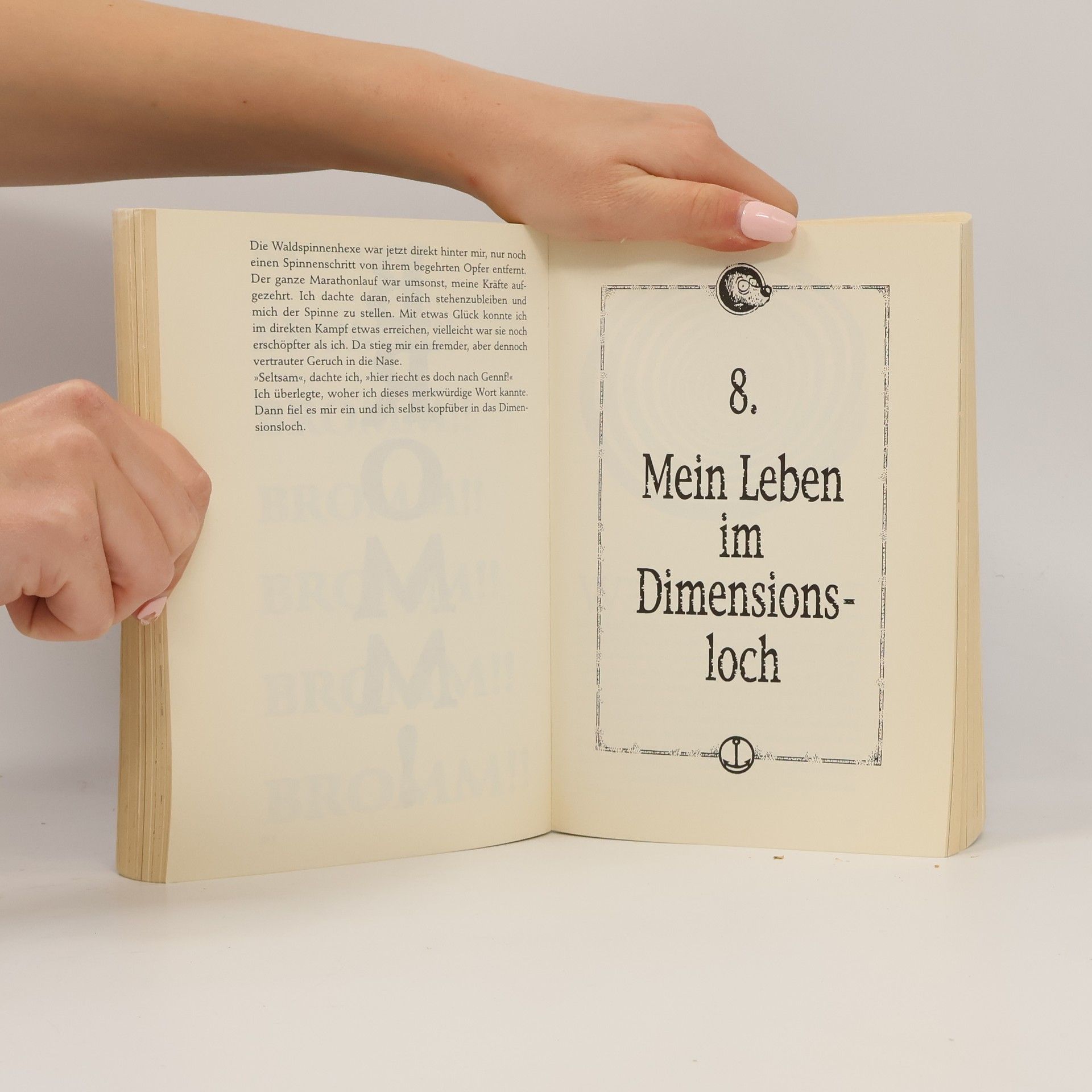 Walter Moers Die 13 1/2 Leben des Käpt’n Blaubär
