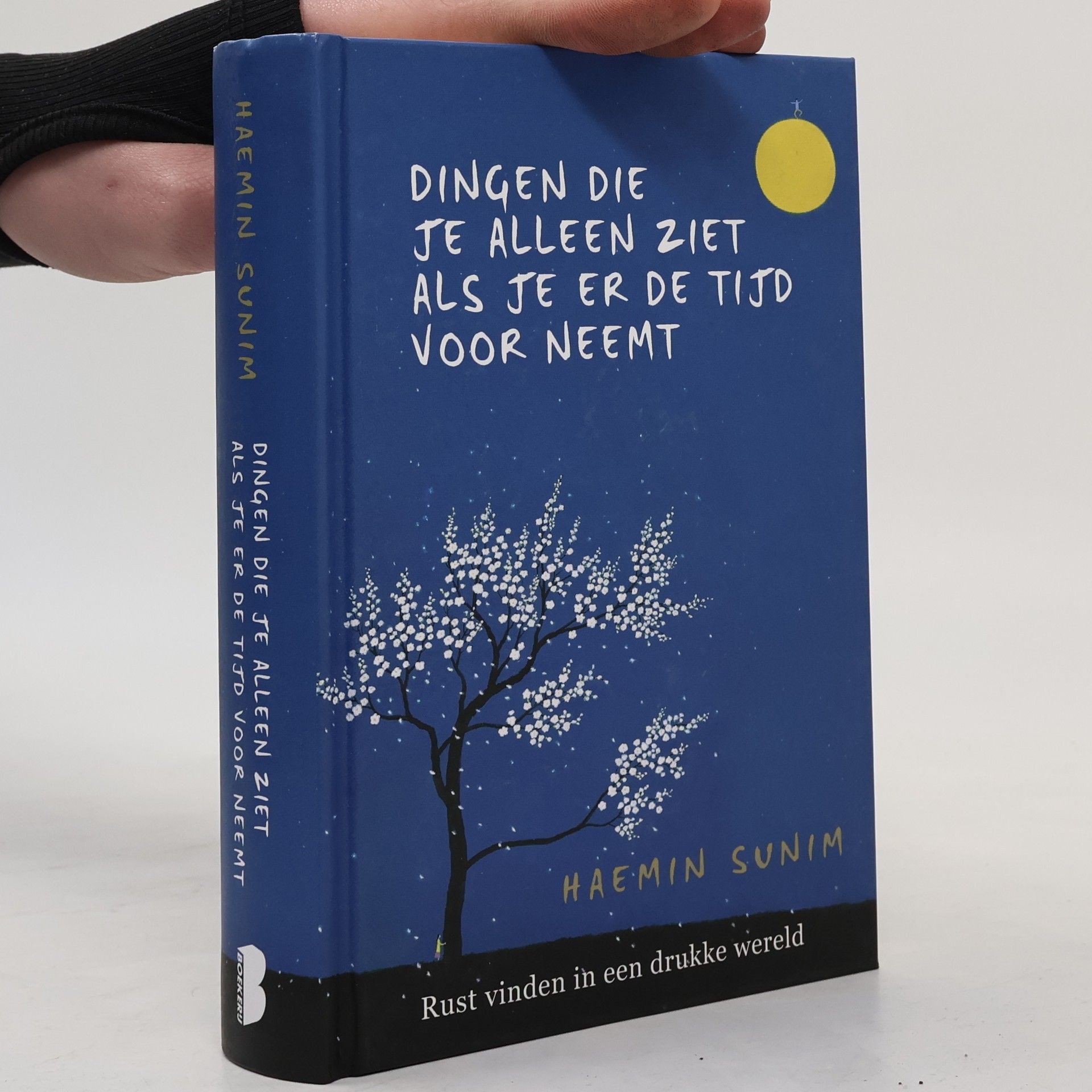 Sunim Haemin Dingen die je alleen ziet als je er de tijd voor neemt