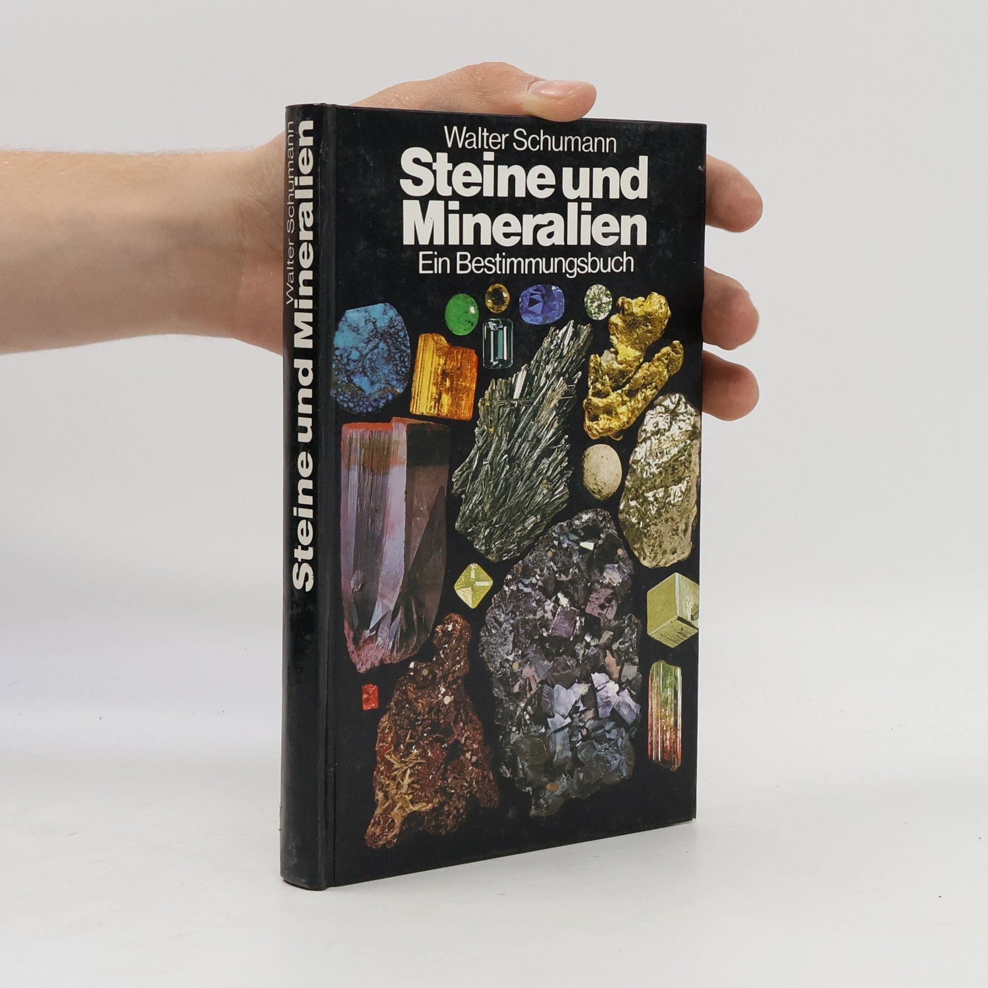 Walter Schumann Steine und Mineralien