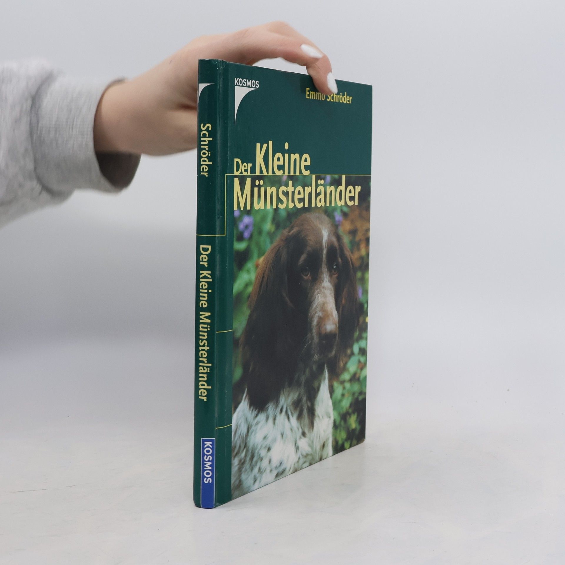 Emmo Schro der Der Kleine Münsterländer