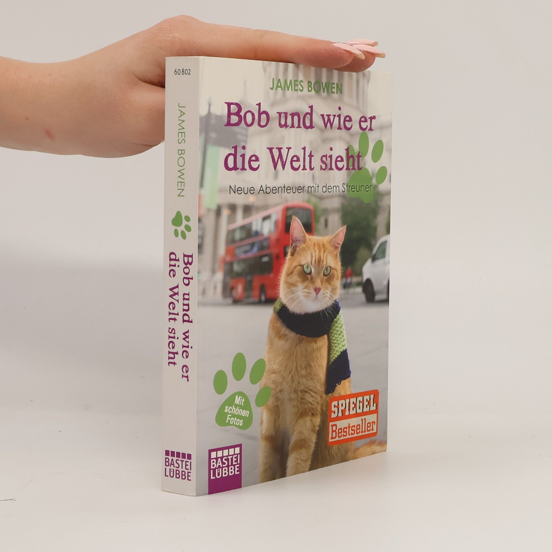 James Bowen Bob und wie er die Welt sieht