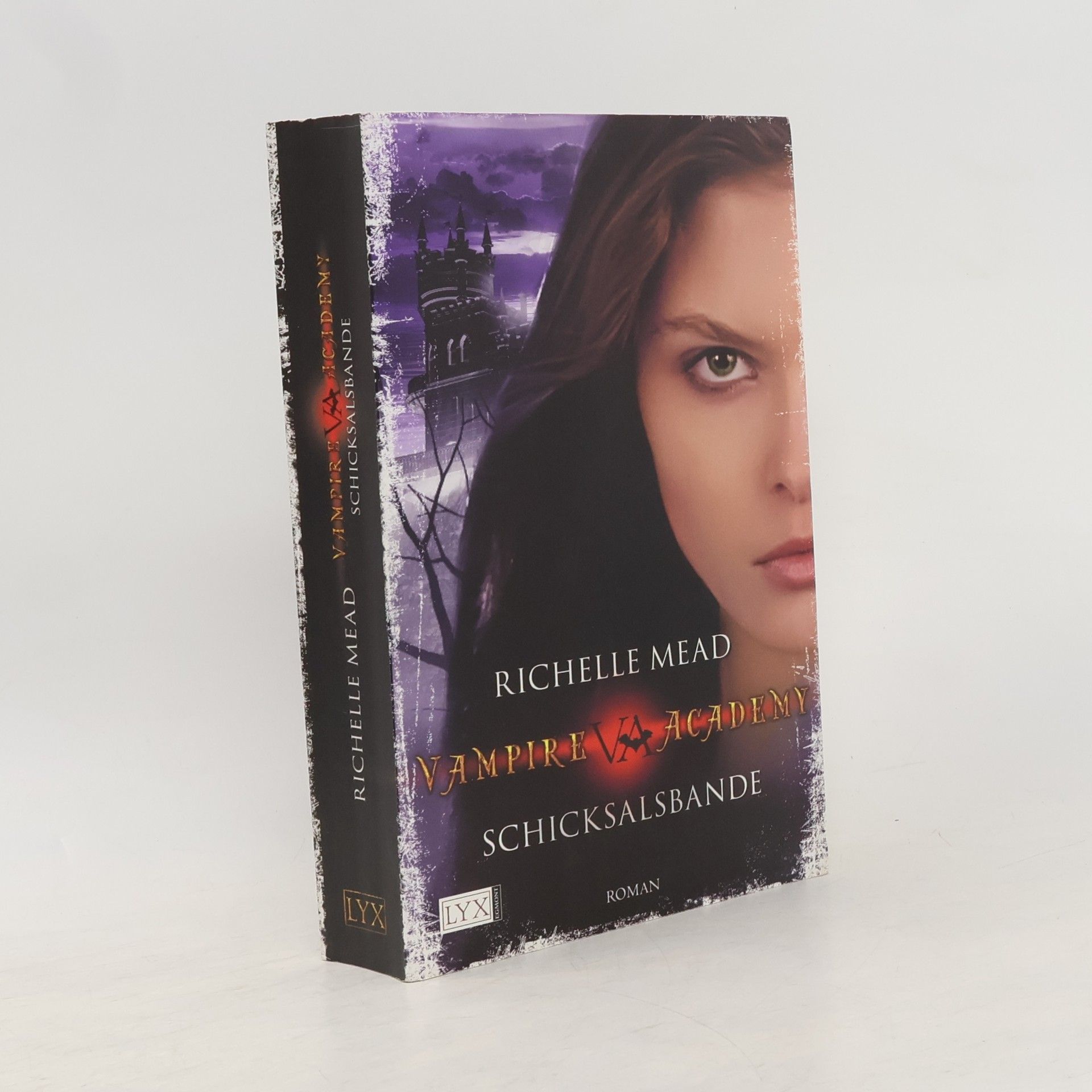 Richelle Mead Vampire Academy. Schicksalbande
