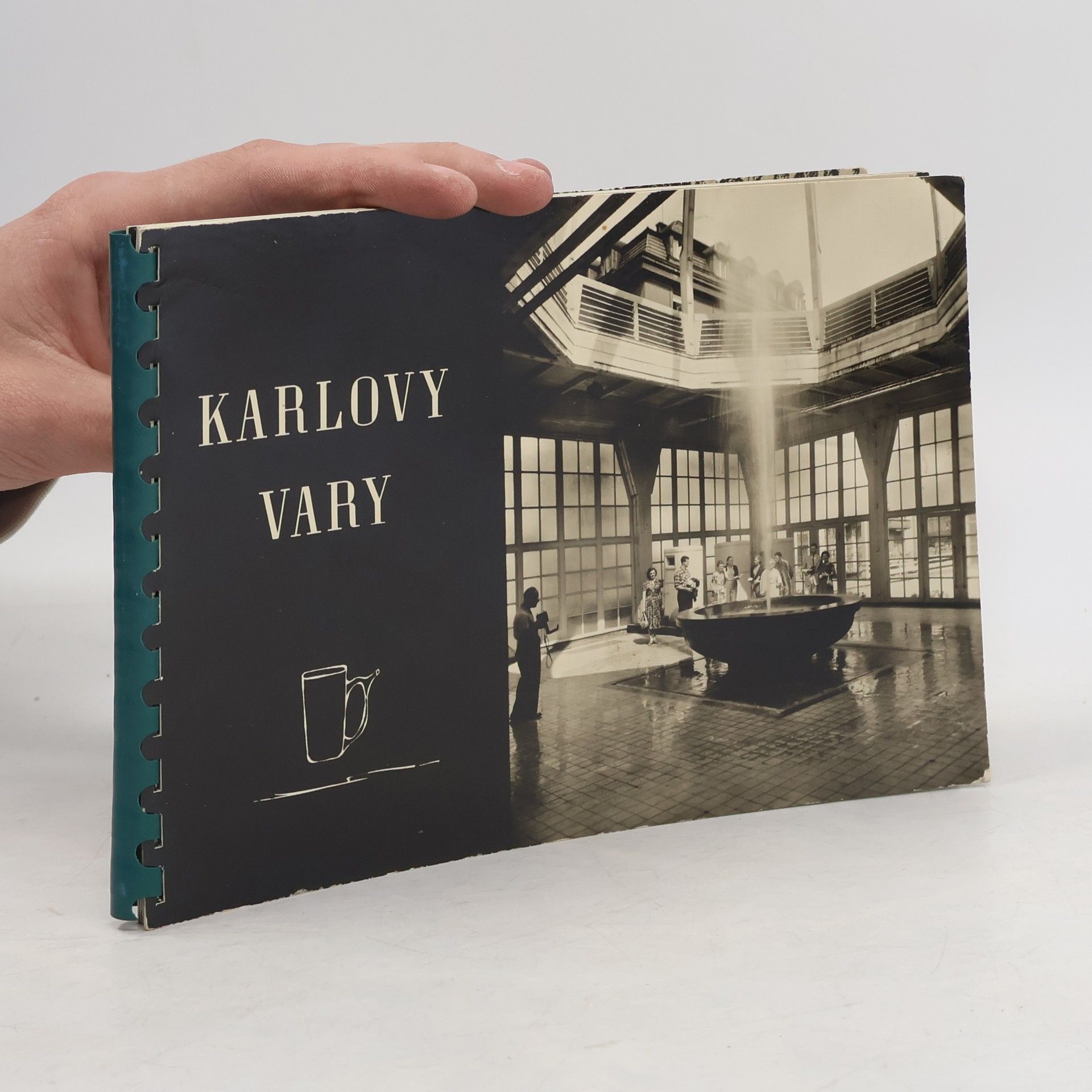 Kolektiv autorů Karlovy Vary