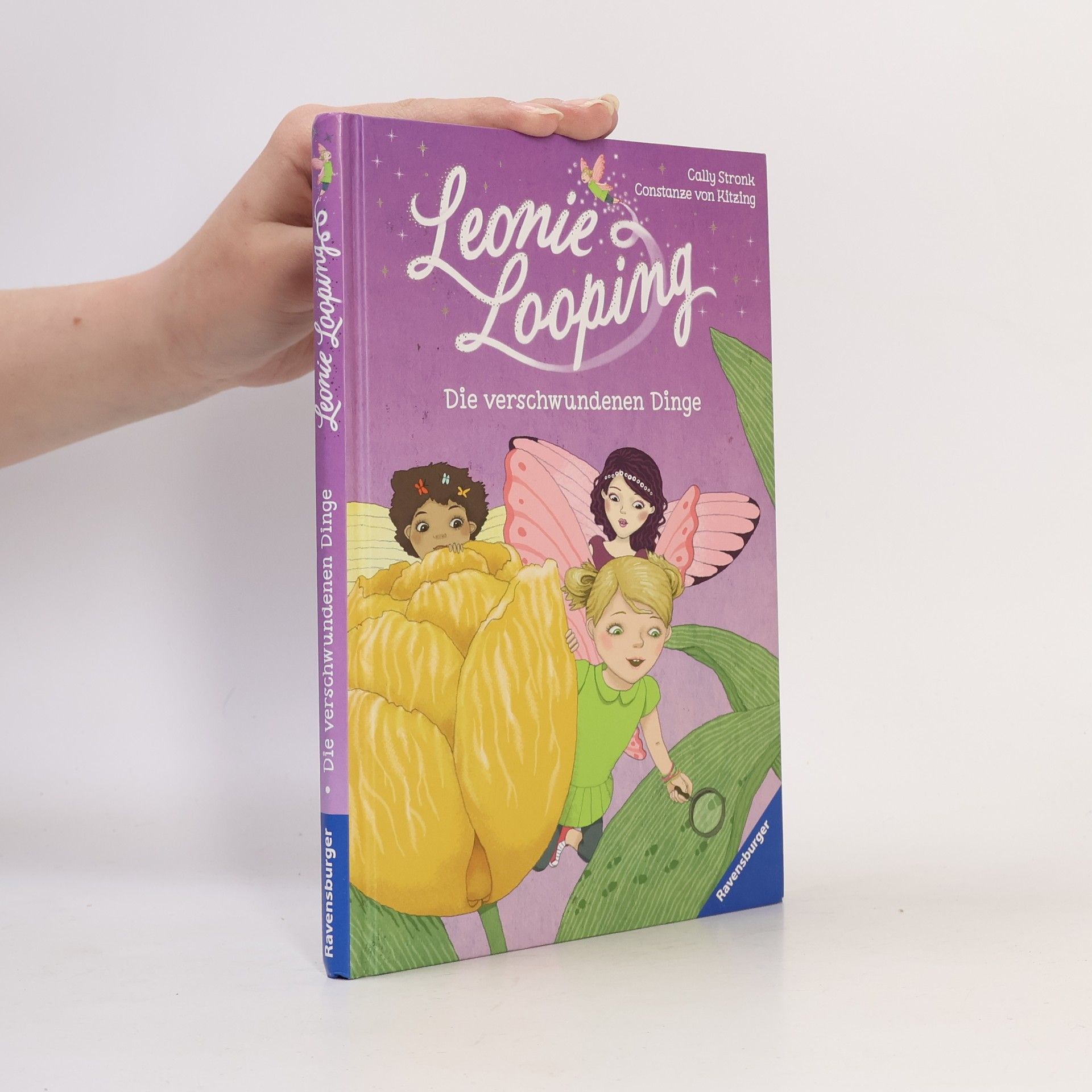 Die verschwundenen Dinge