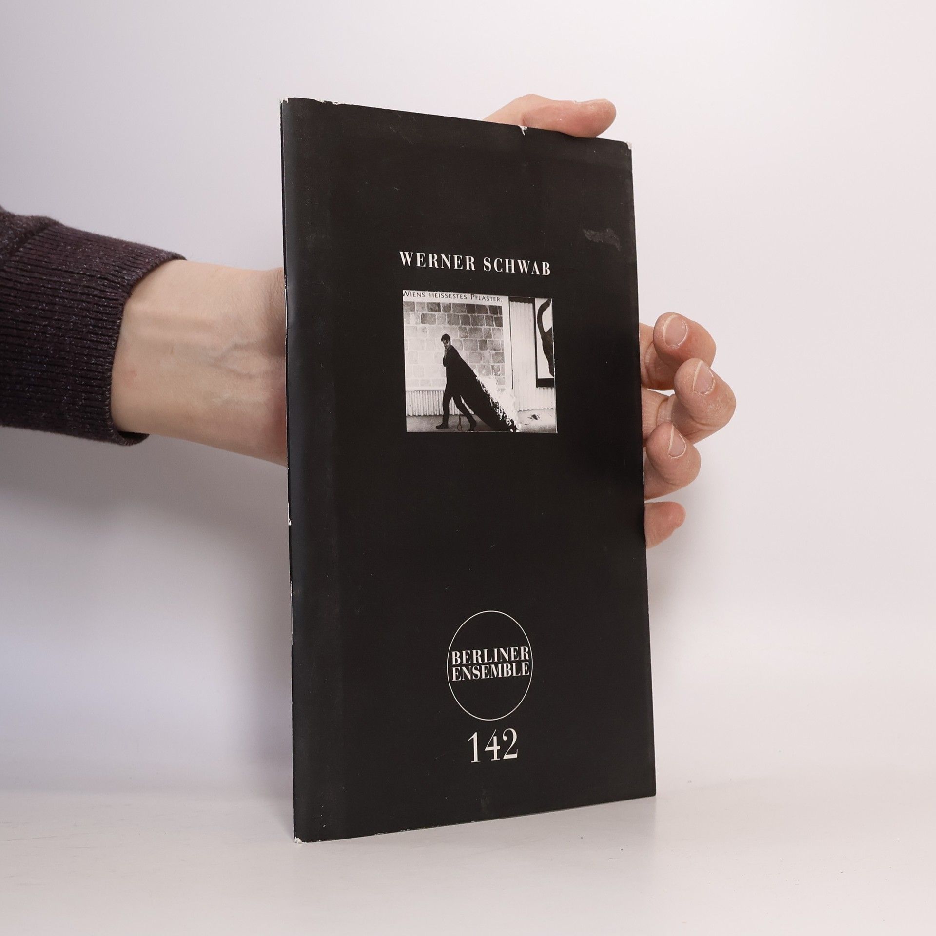 Werner Schwab Die Präsidentinnen