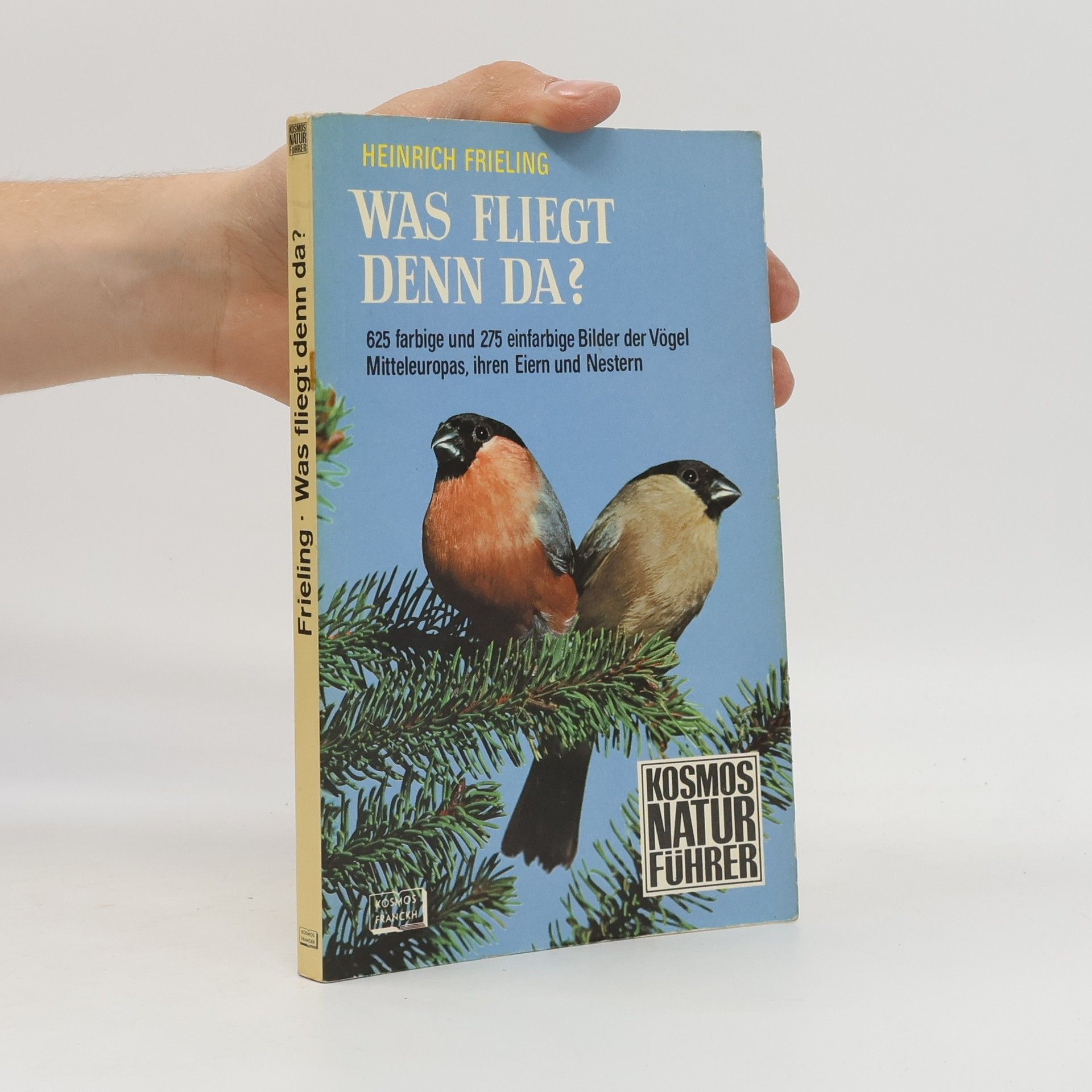 Heinrich Frieling Was fliegt denn da?