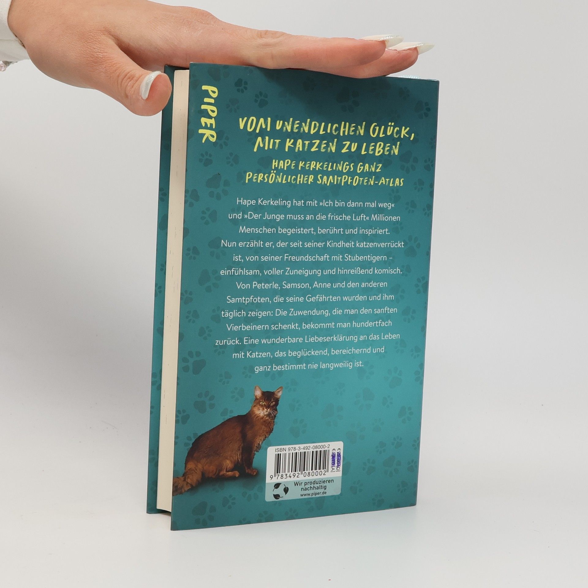Hape Kerkeling Pfoten vom Tisch! : Meine Katzen, andere Katzen und ich
