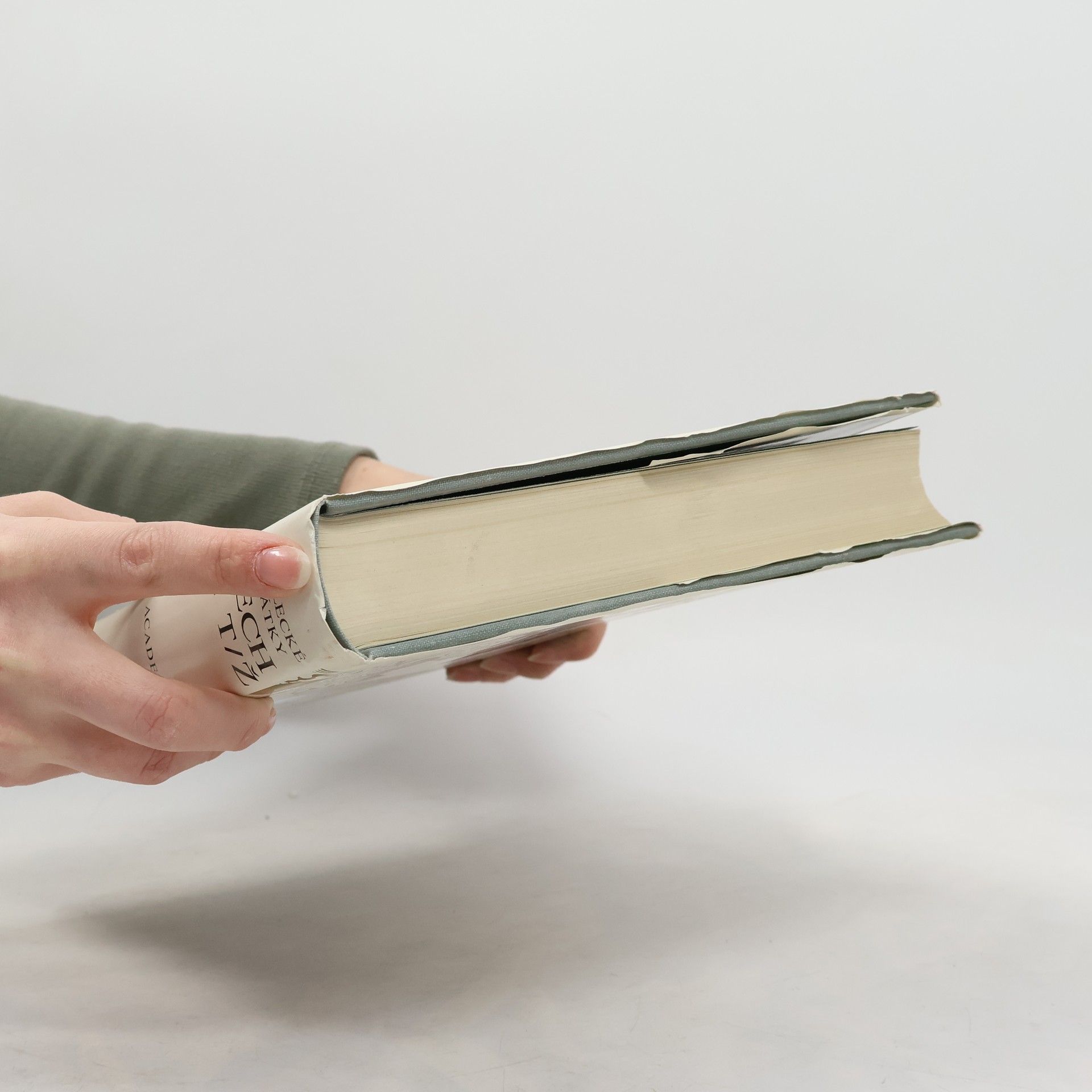 Various authors Umělecké památky Čech 4. T-Ž
