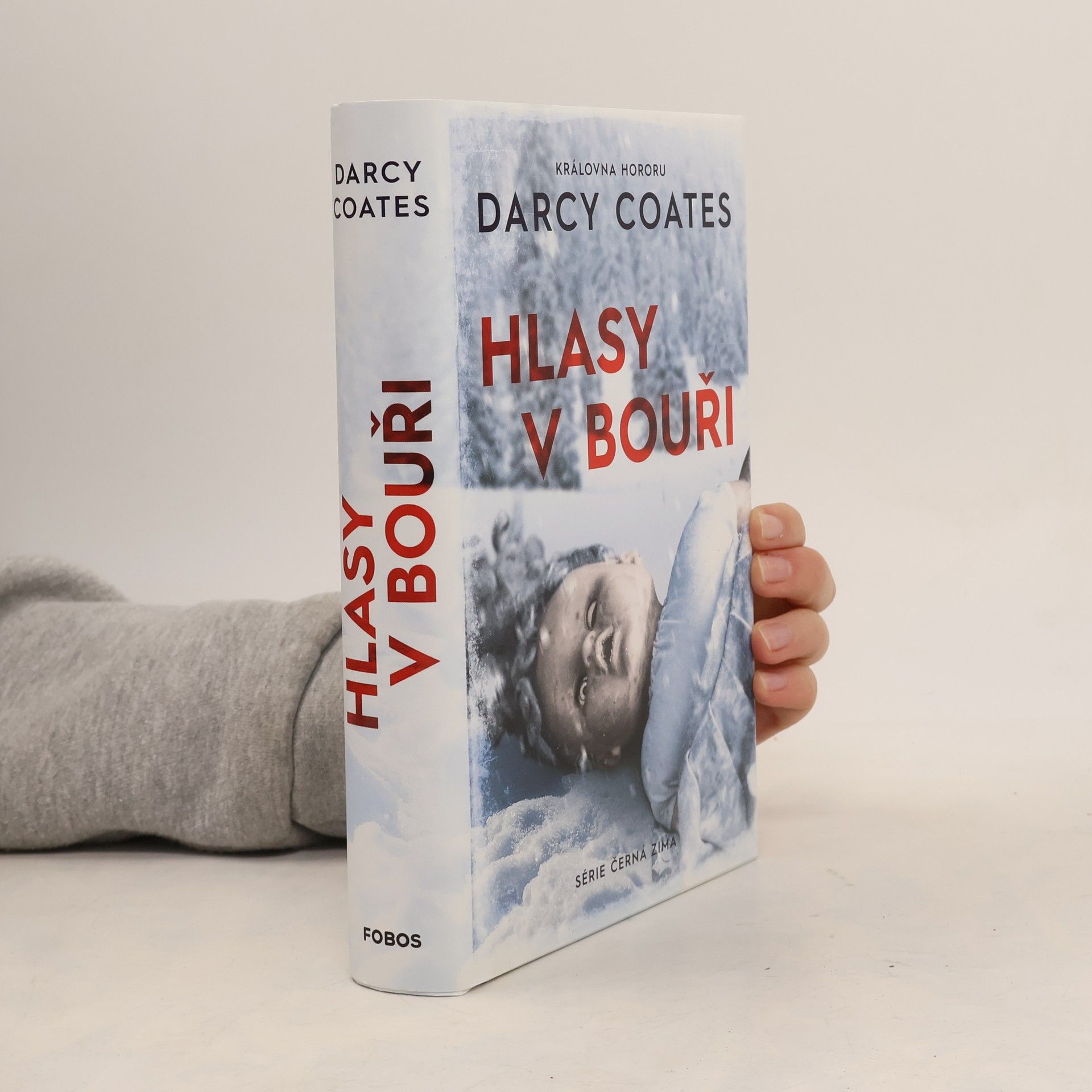 Darcy Coates Hlasy v bouři